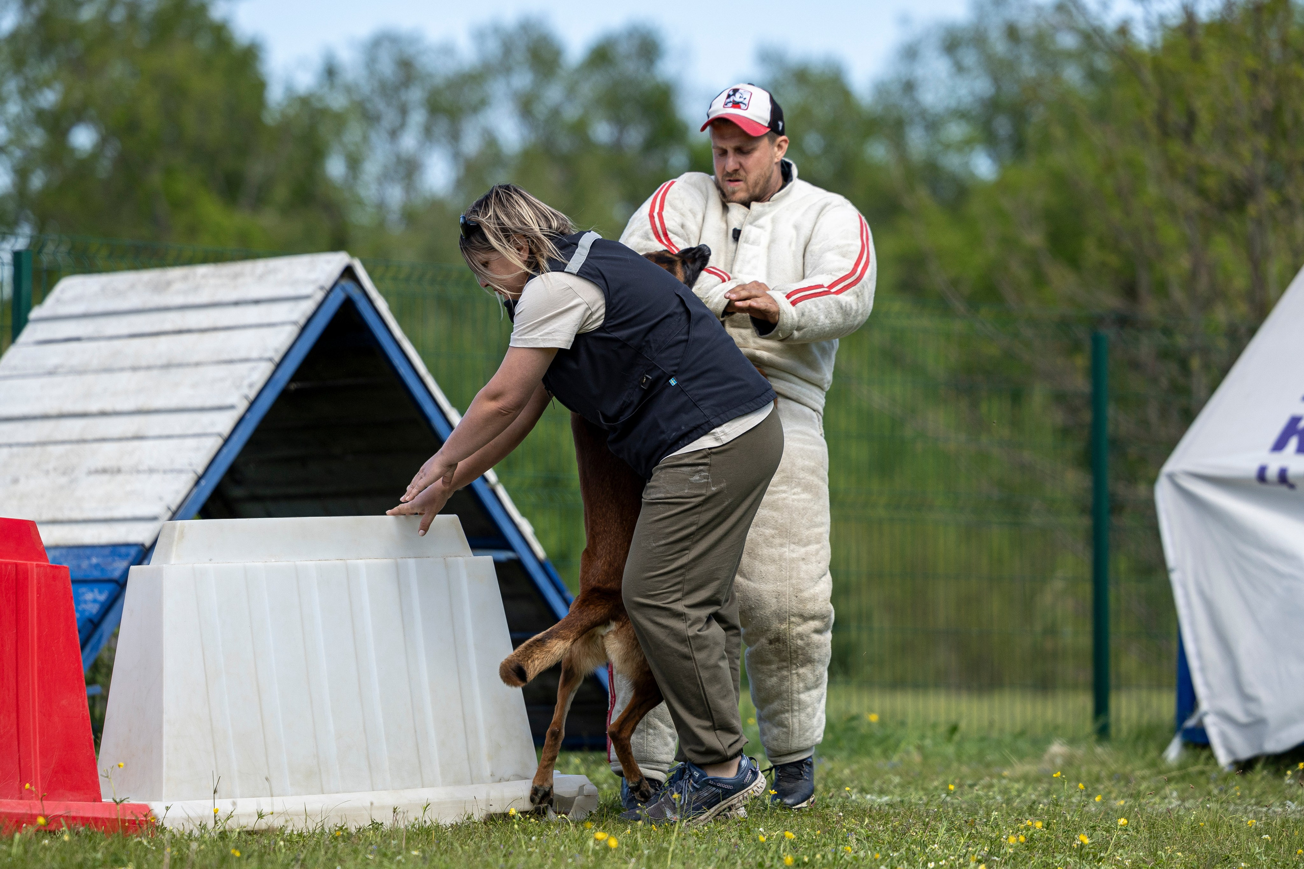 Испытания по мондьорингу в Нижнем Новгороде. Фотограф-анималист Анна Маринич