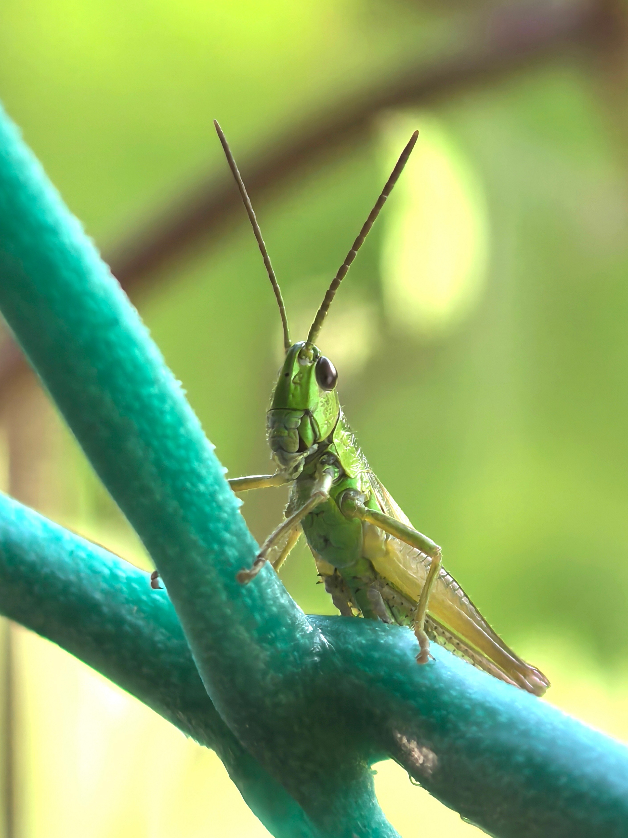 ПочтиМАКРО. Школьные выпускные альбомы в Москве Марина Николаева