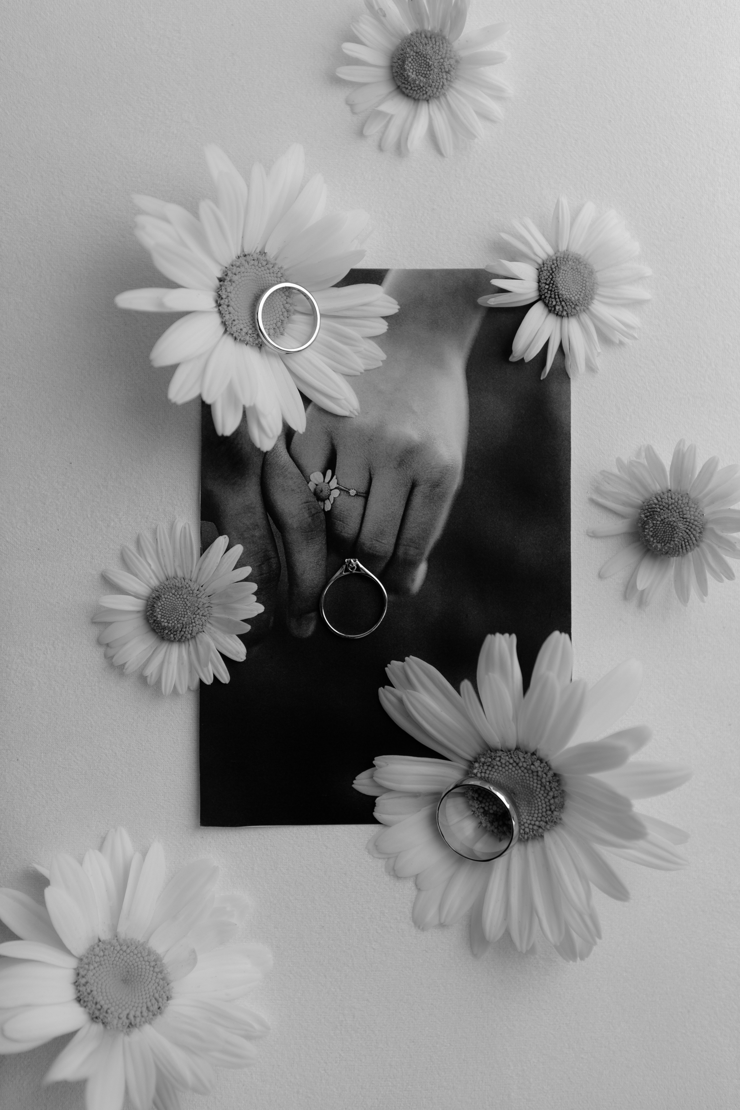 Свадьба Даниила и Светланы. Фотограф Кольчугино/Владимир/Москва Елизавета Иода