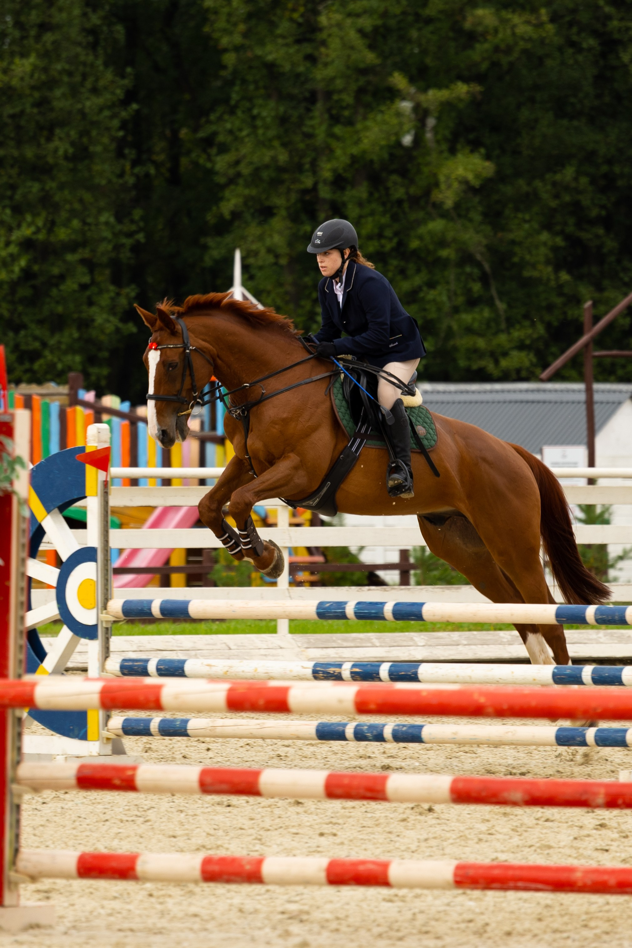 Соревнования по конкуру. Фотограф в Москве Светлана Богначева