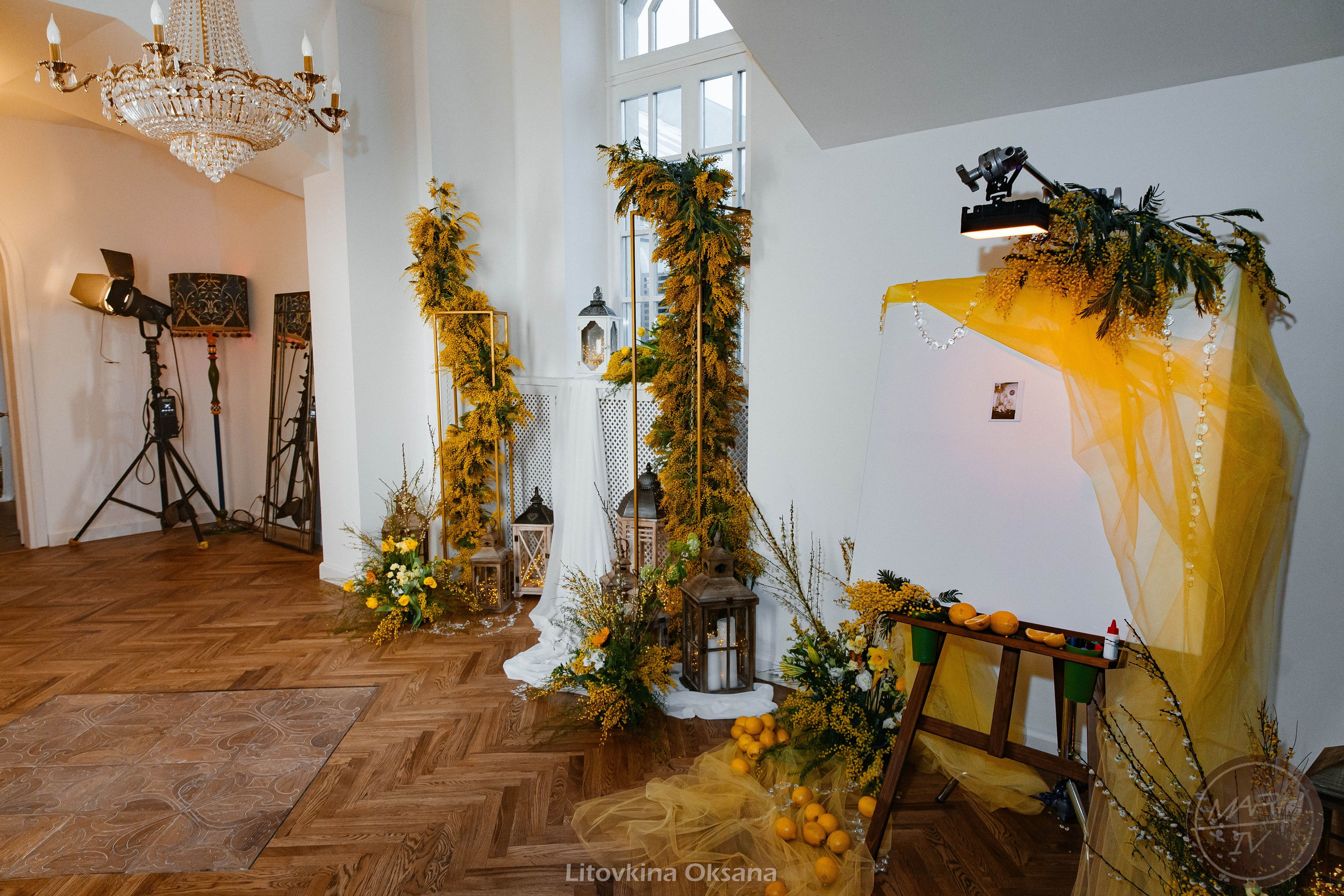 Открытие фотостудии Mark IV. Свадебный и репортажный фотограф МОСКВА