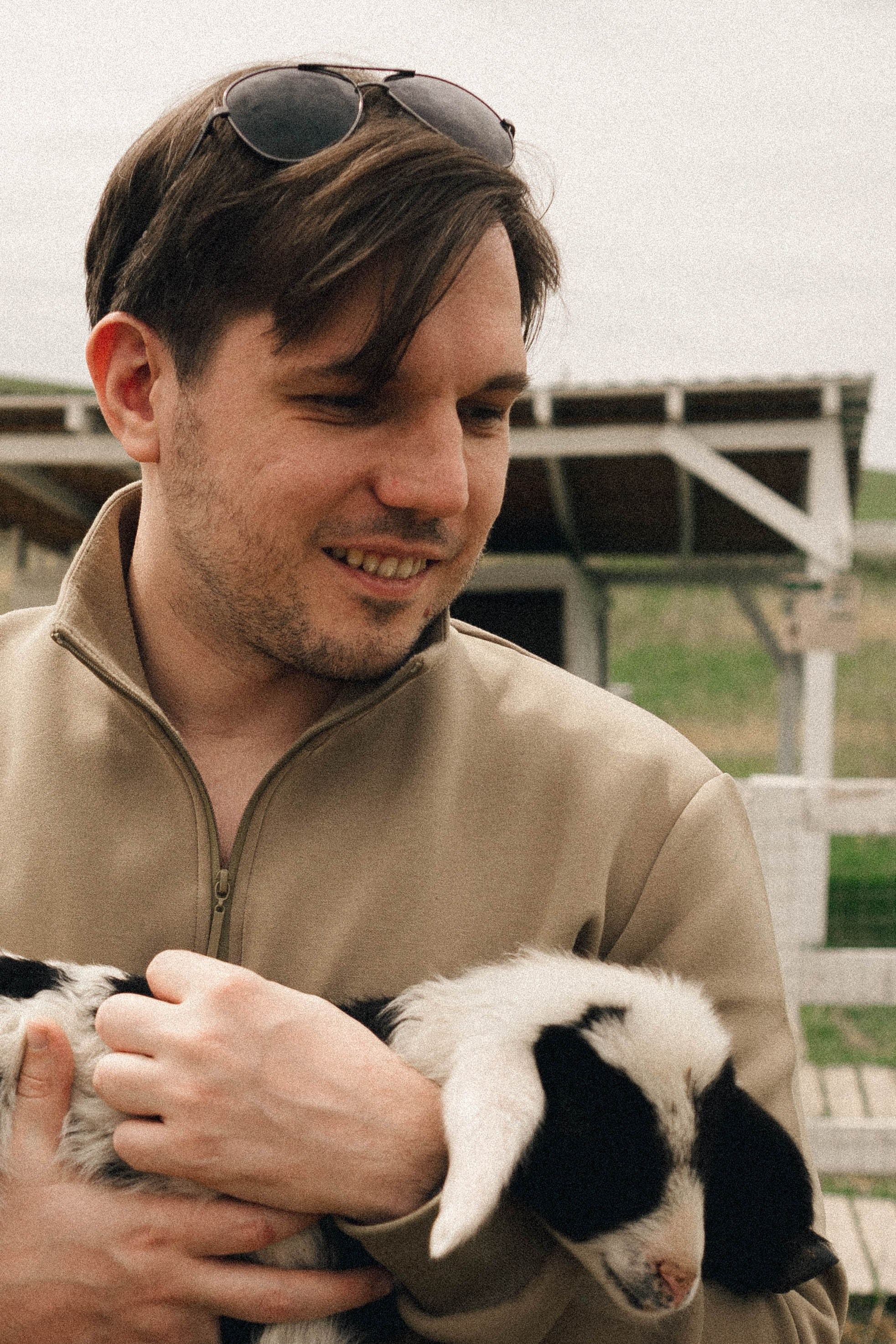 Ферма Альпак. Профессиональный фотограф, Санкт-Петербург — Виктория Богомолова
