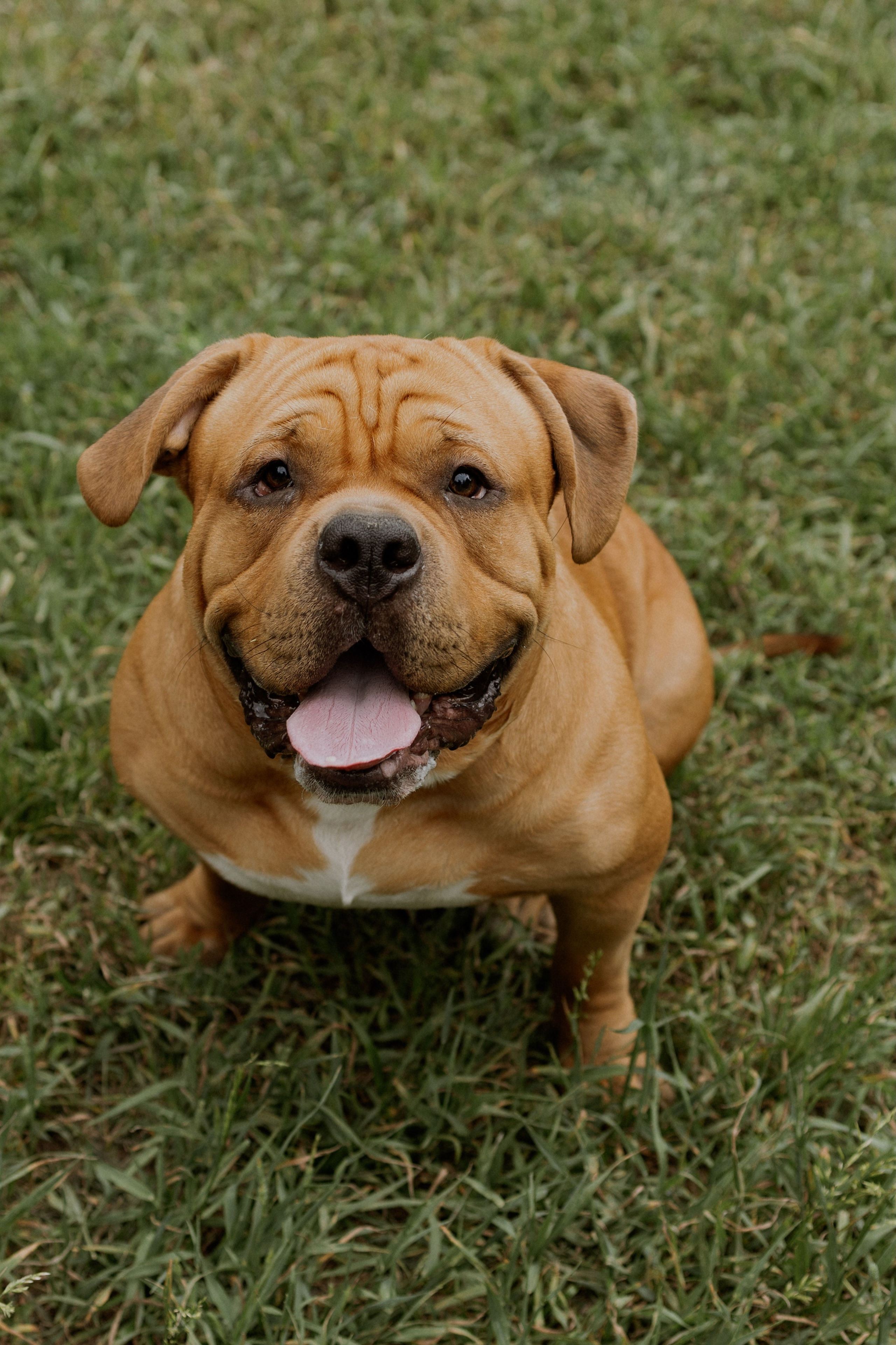 Артем, Нина и Гаара. Семейный фотограф Надежда Каримова | Иркутск Байкал Аршан