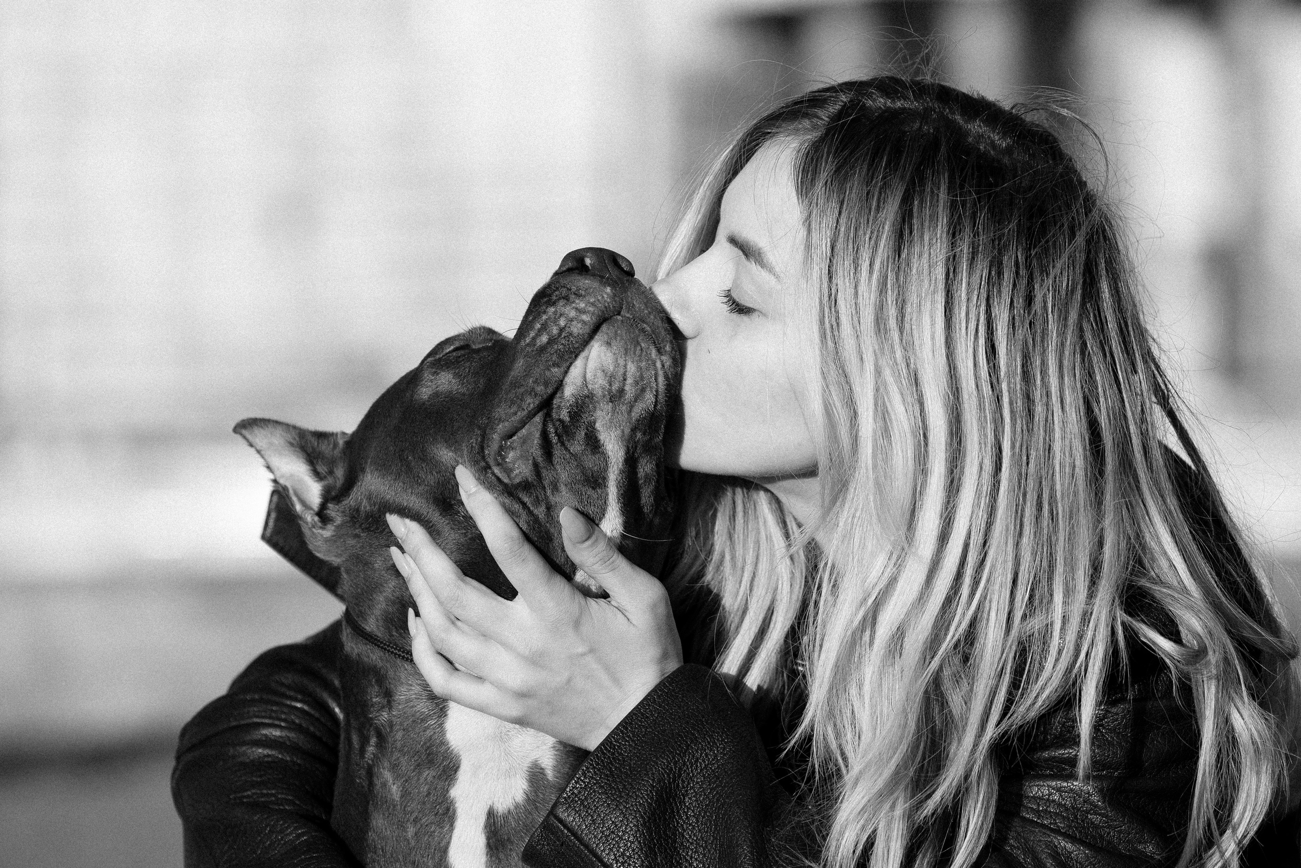 Катя, Леша, Лея и Трой. Фотограф и видеограф анималист Аганина Дарья