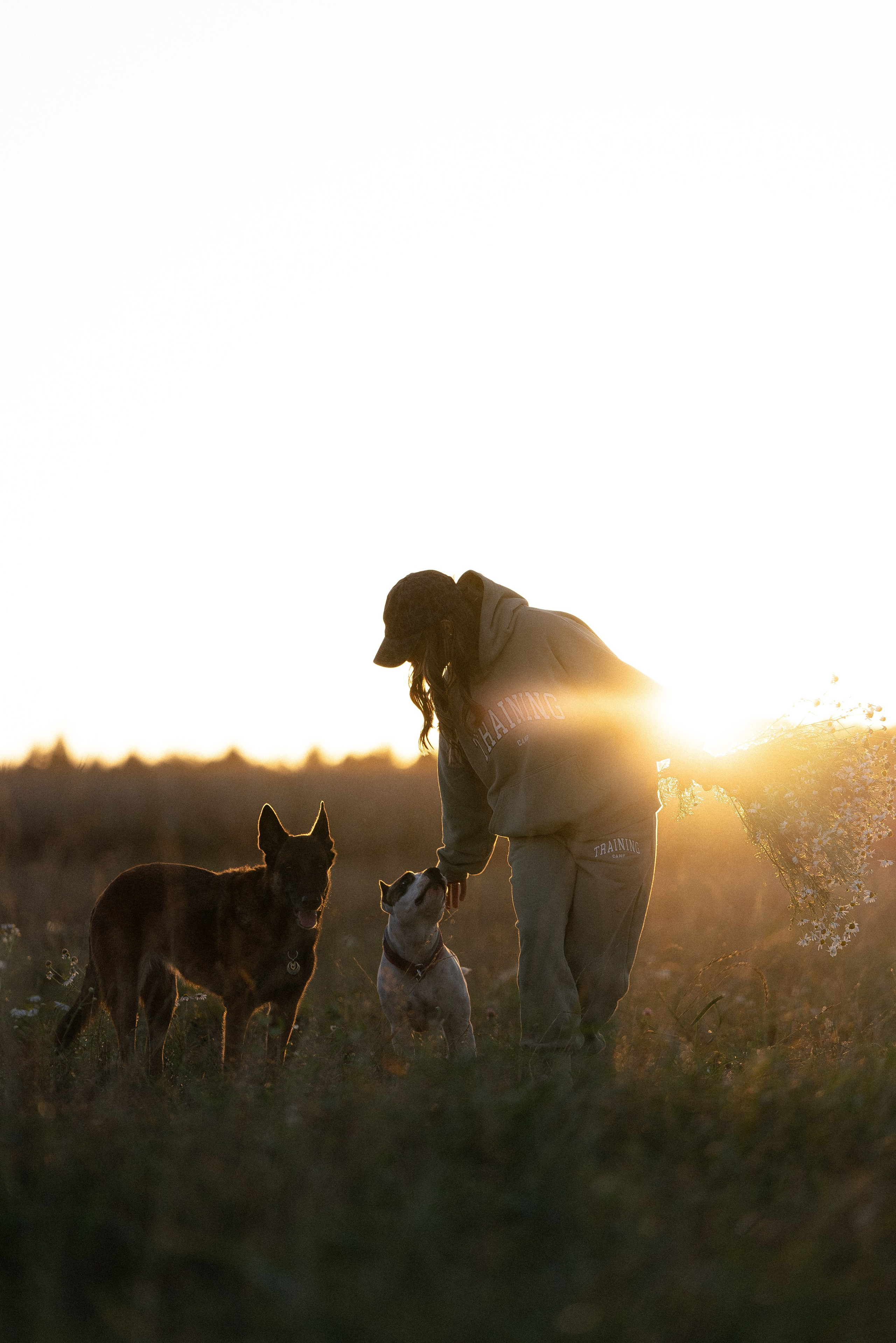 Женя, Афра и Молли. Фотограф и видеограф анималист Аганина Дарья