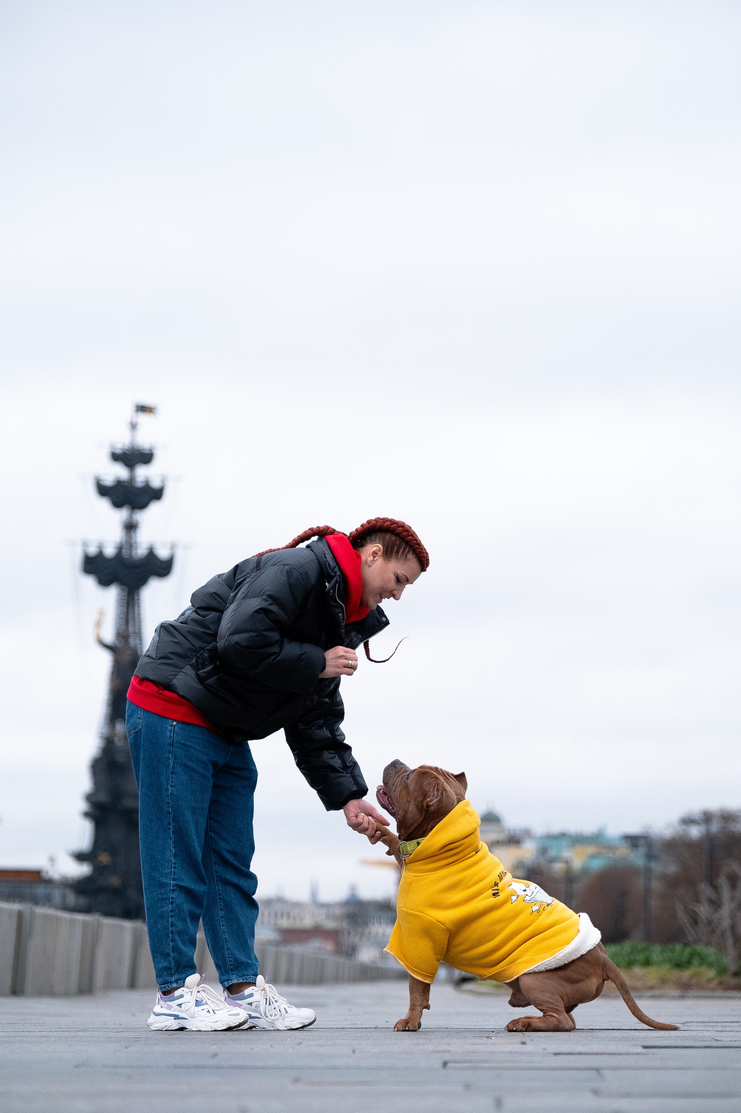 Спай и его семья. Фотограф и видеограф анималист Аганина Дарья