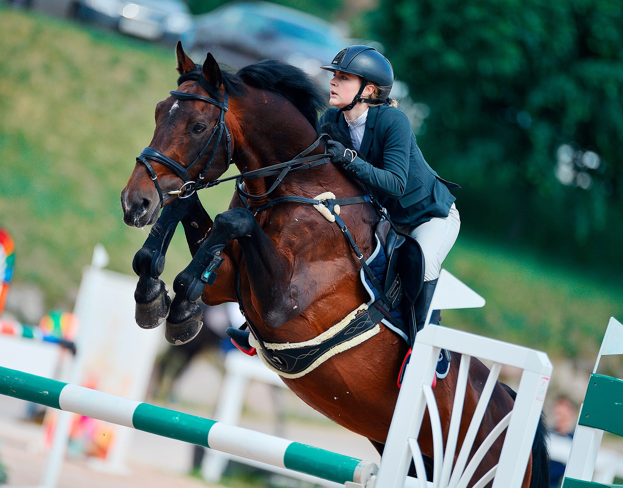 Конкур. Конный фотограф Alesya Safe