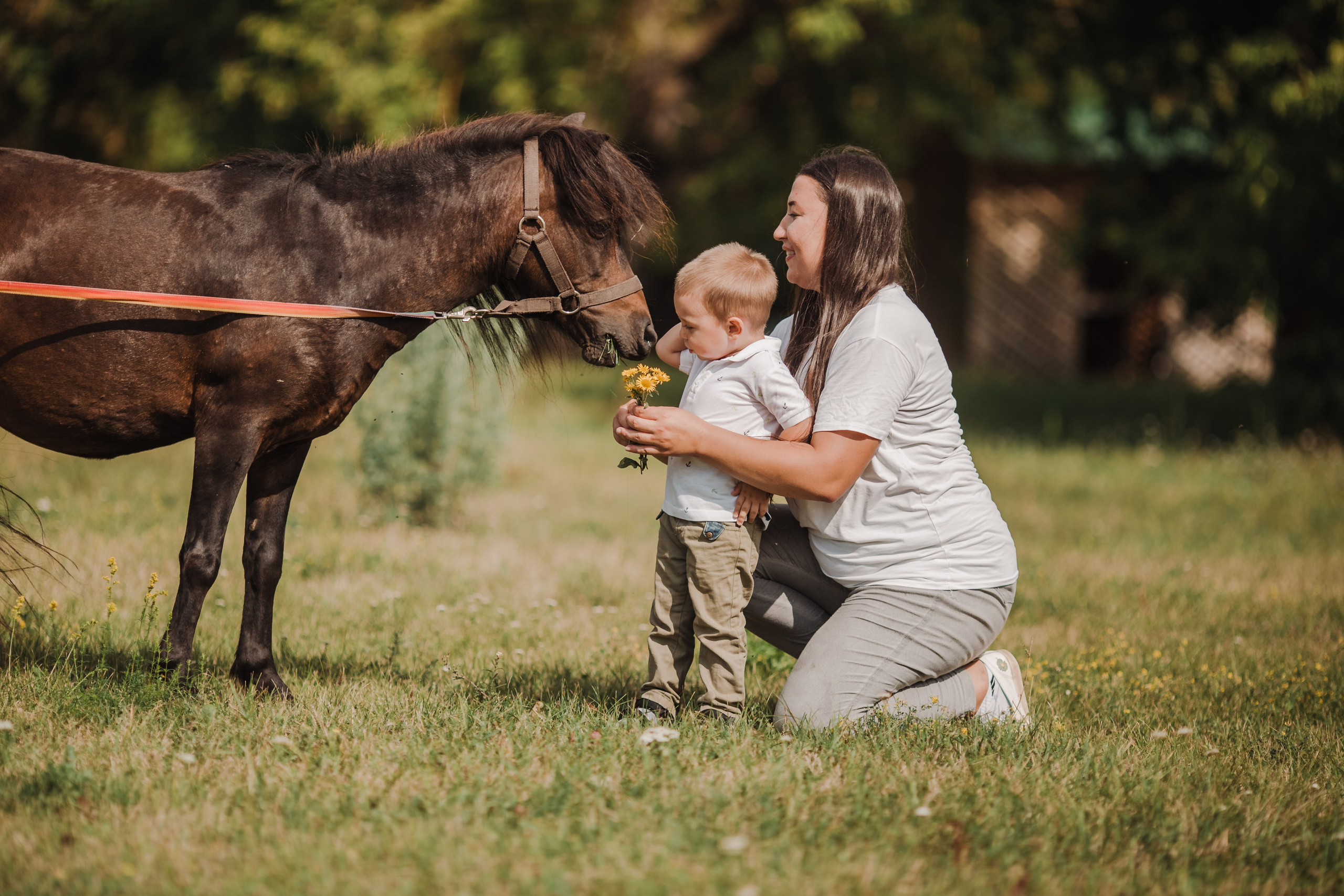 Семья на конной ферме. Свадебный и семейный фотограф Екатерина Бубнова