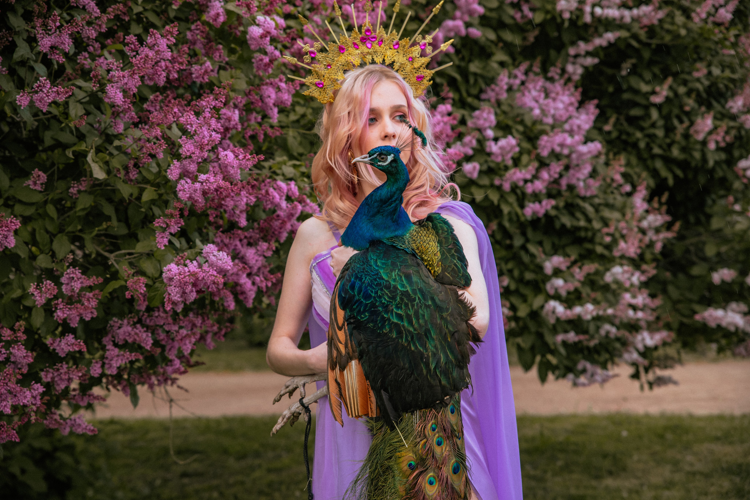 Павлин. Elena Sova — семейный и женский фотограф в Санкт-Петербурге