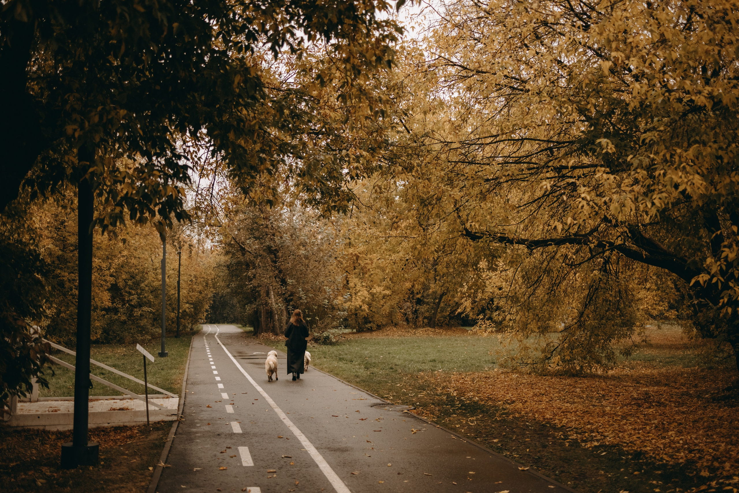 Женя и ее девочки. Фотограф — Анималист | Санкт-Петербург