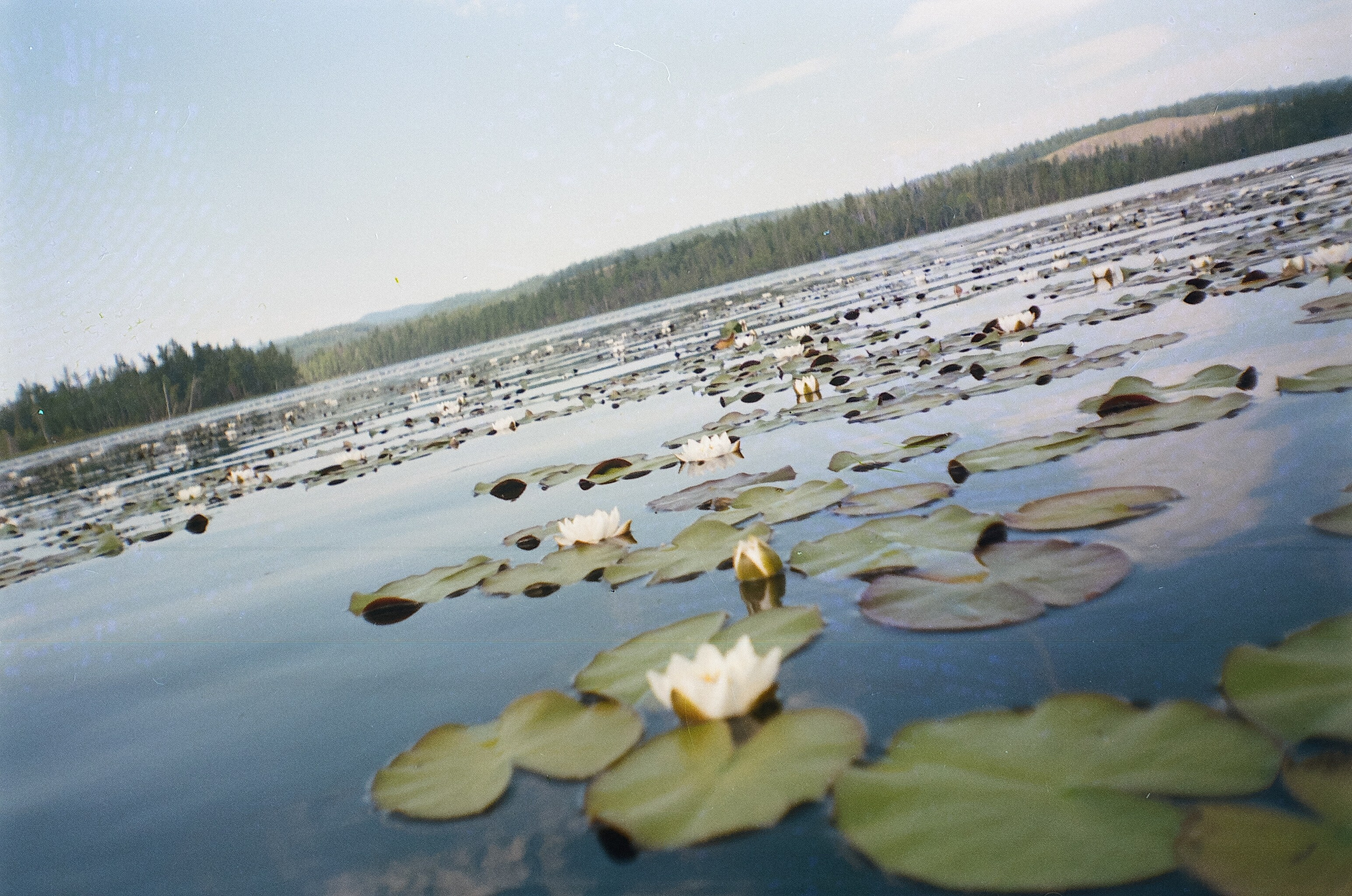 Тува. Антон Великий