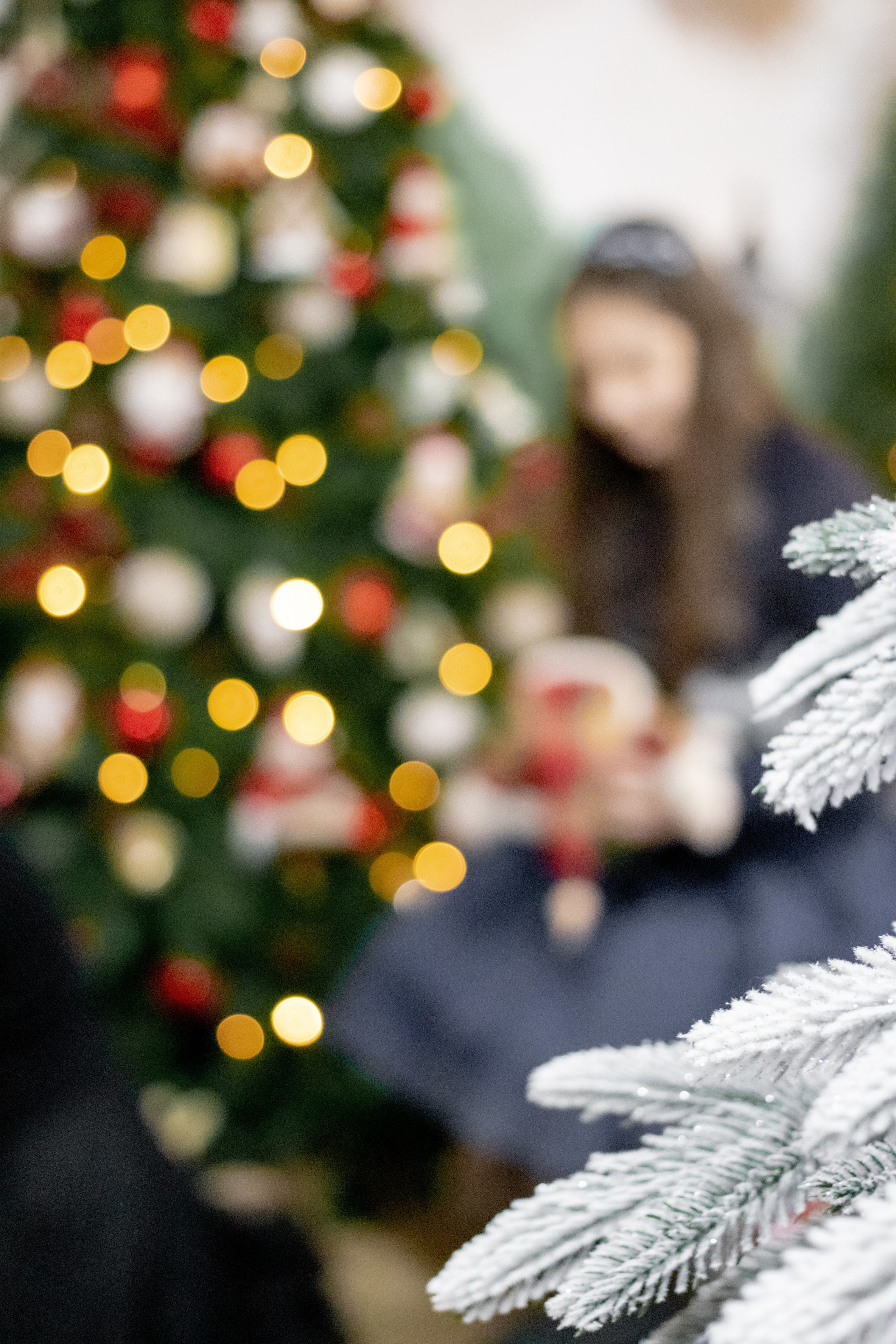 Семейная новогодняя