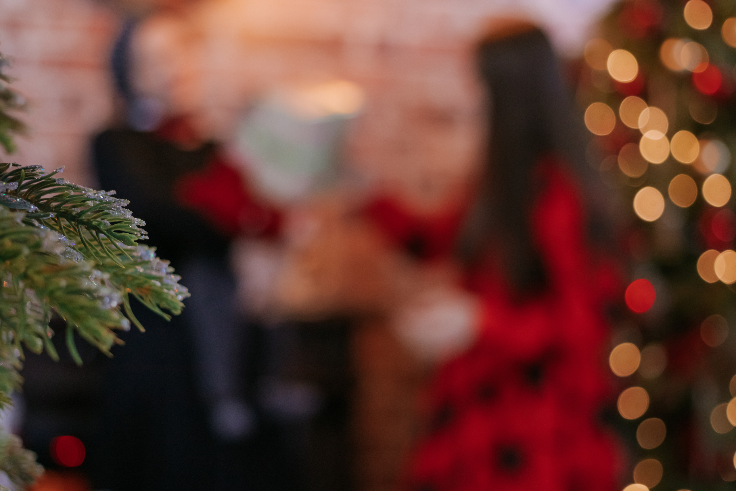 Семейная новогодняя