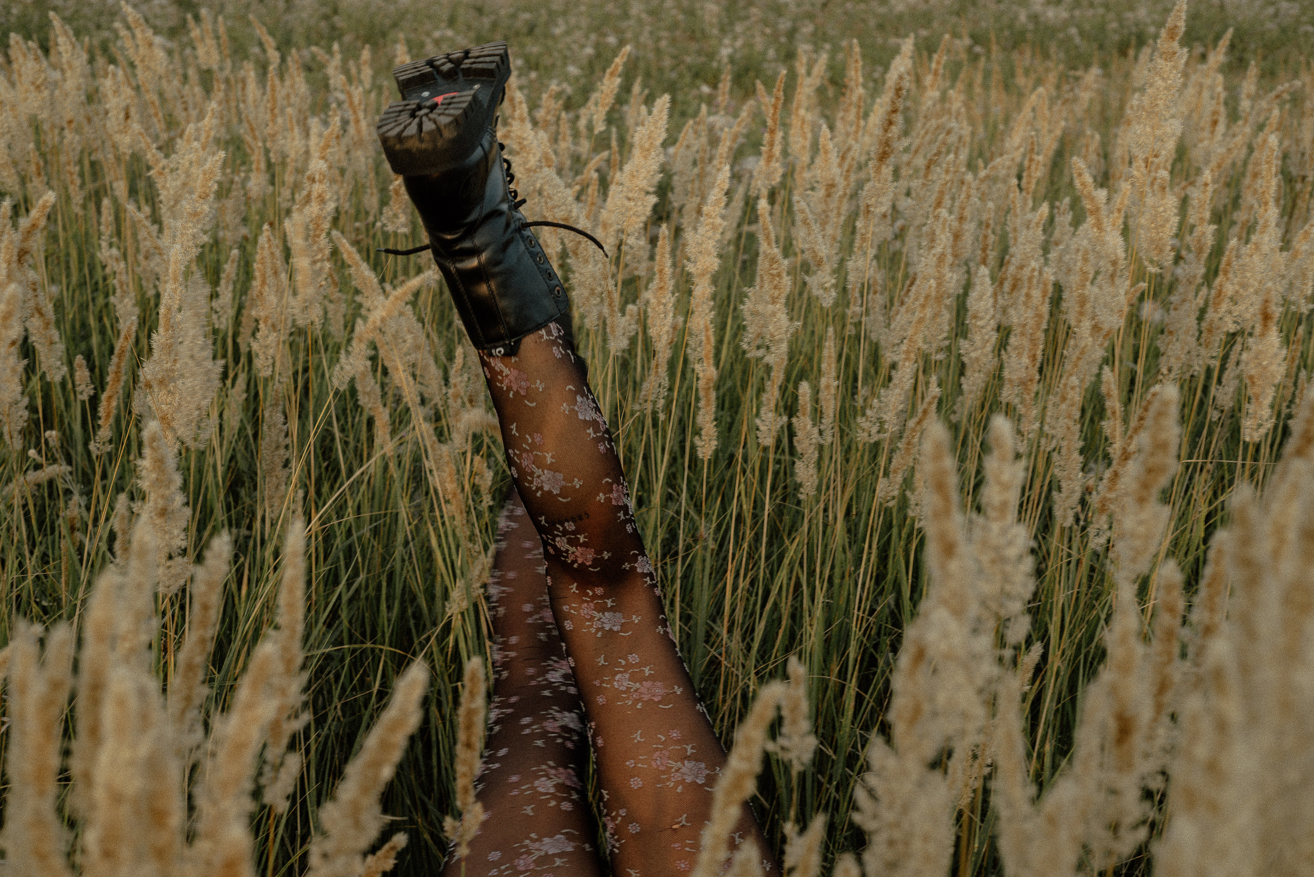 ПОЛЕ. Фотограф Алёна Евграфова