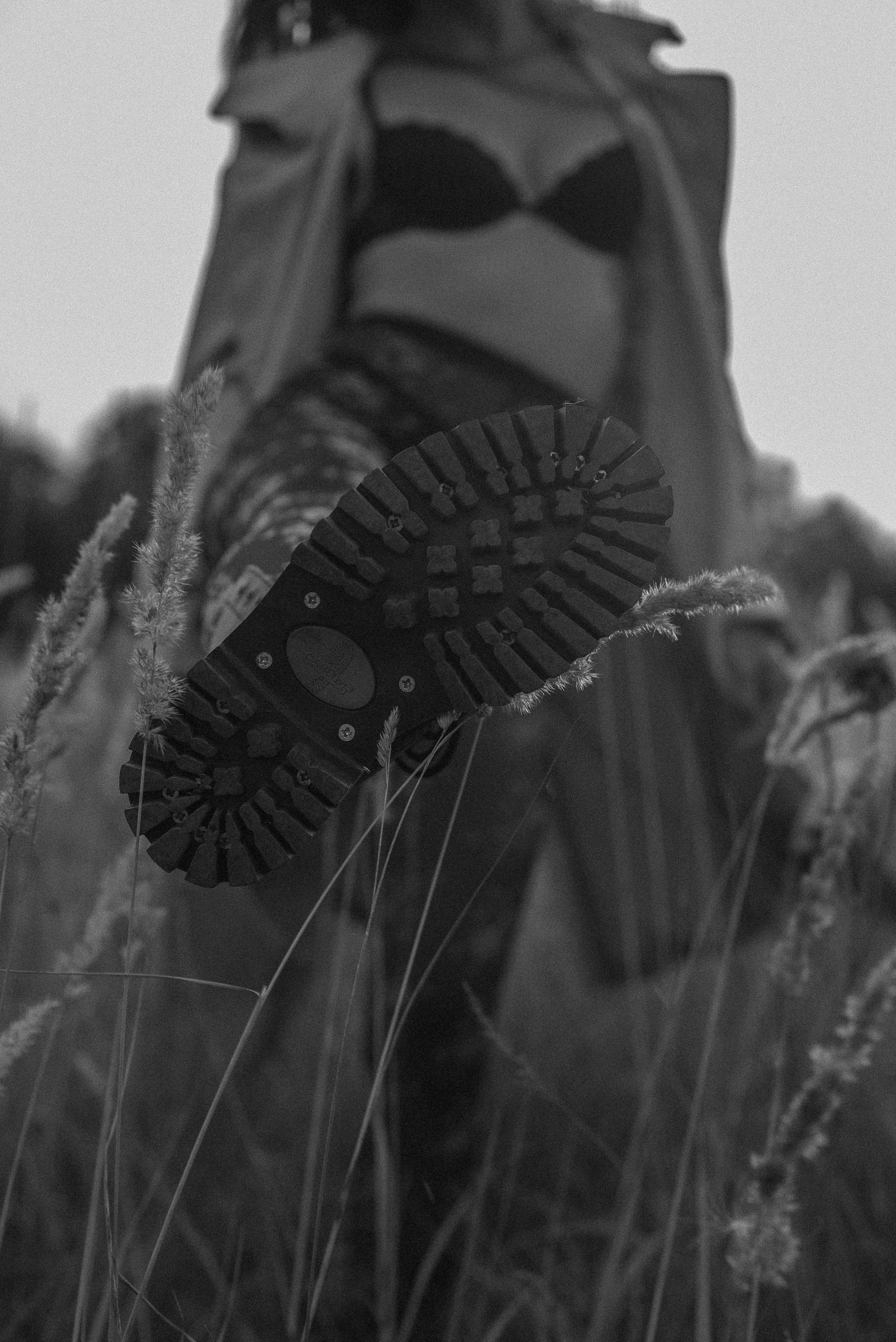 ПОЛЕ. Фотограф Алёна Евграфова