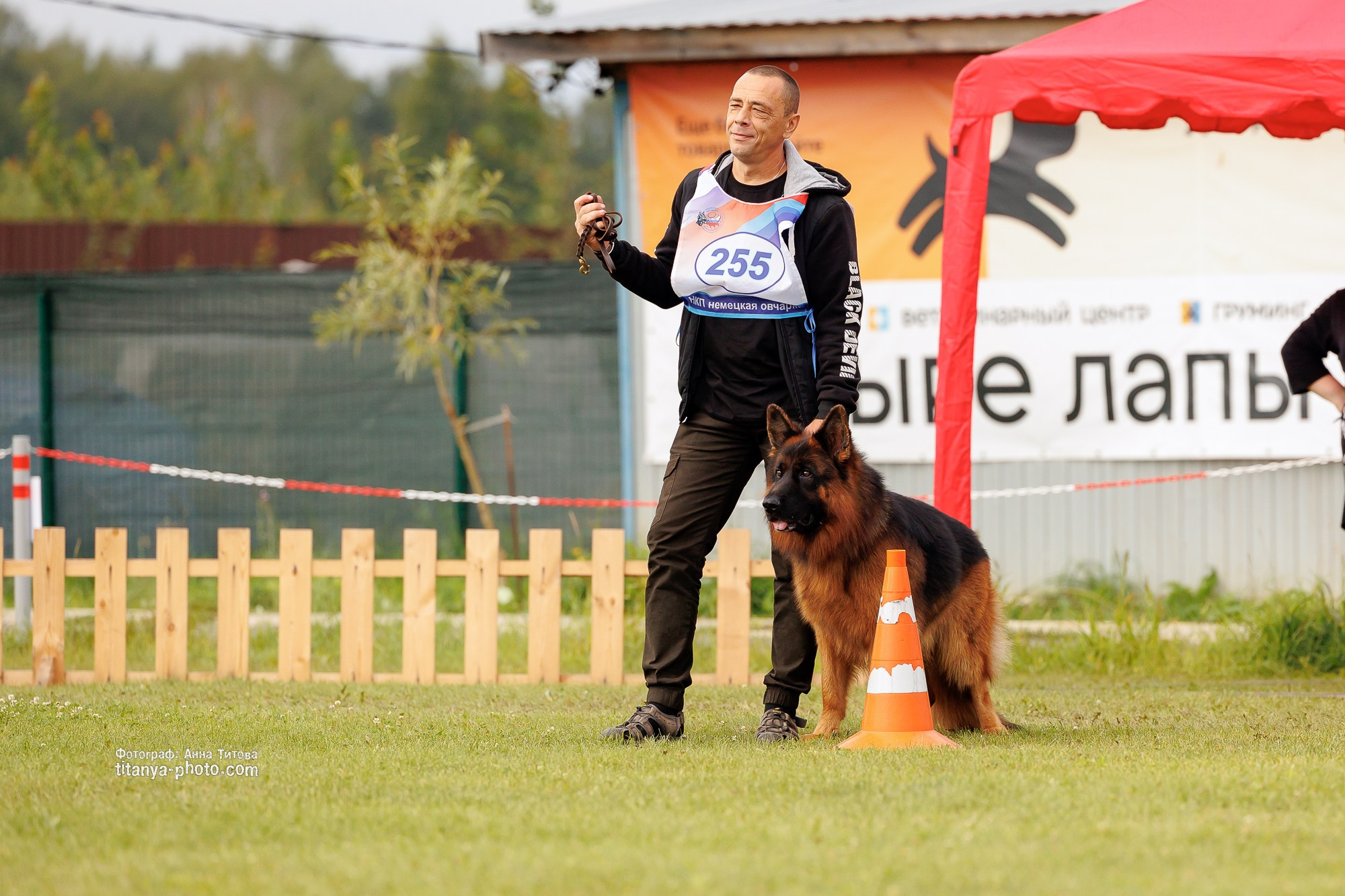 Немецкие овчарки: фото из рингов и вне ринга, мутпроба (фотографии с выставок). Фотограф собак, фотограф-анималист Аня Титова (Titanya). Москва