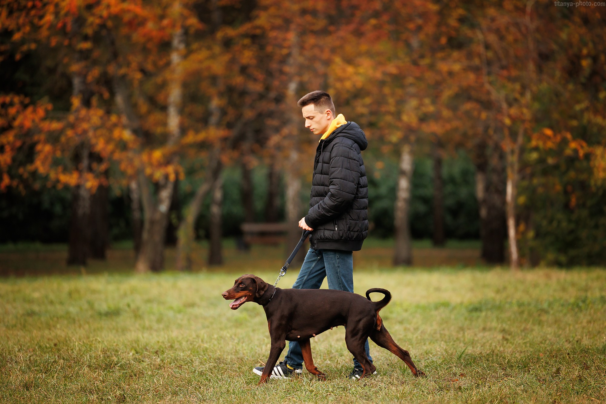 Лилия, Влад и Юма. Фотограф собак, фотограф-анималист Аня Титова (Titanya). Москва