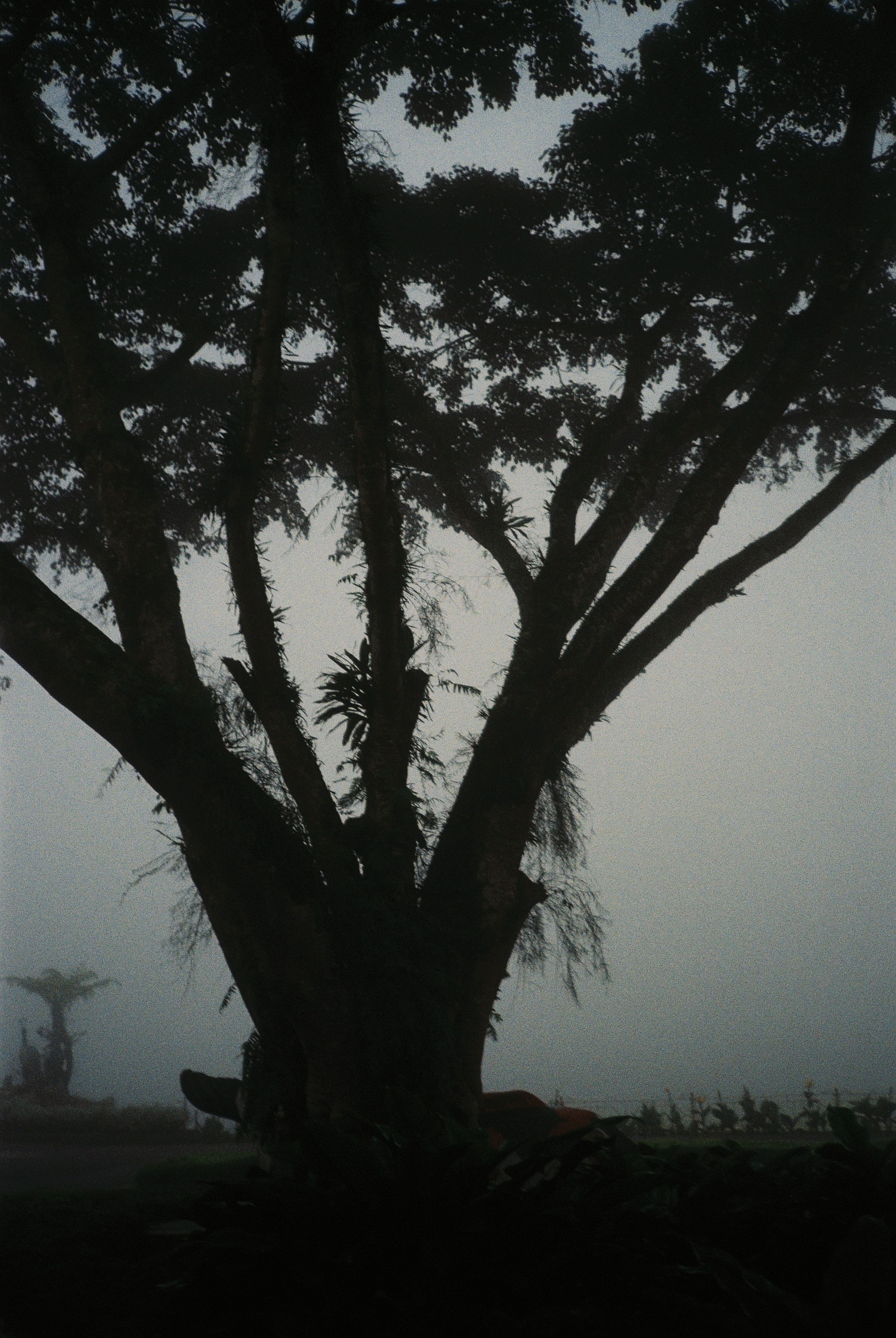 Asia. Olya Filina | Moscow Photographer