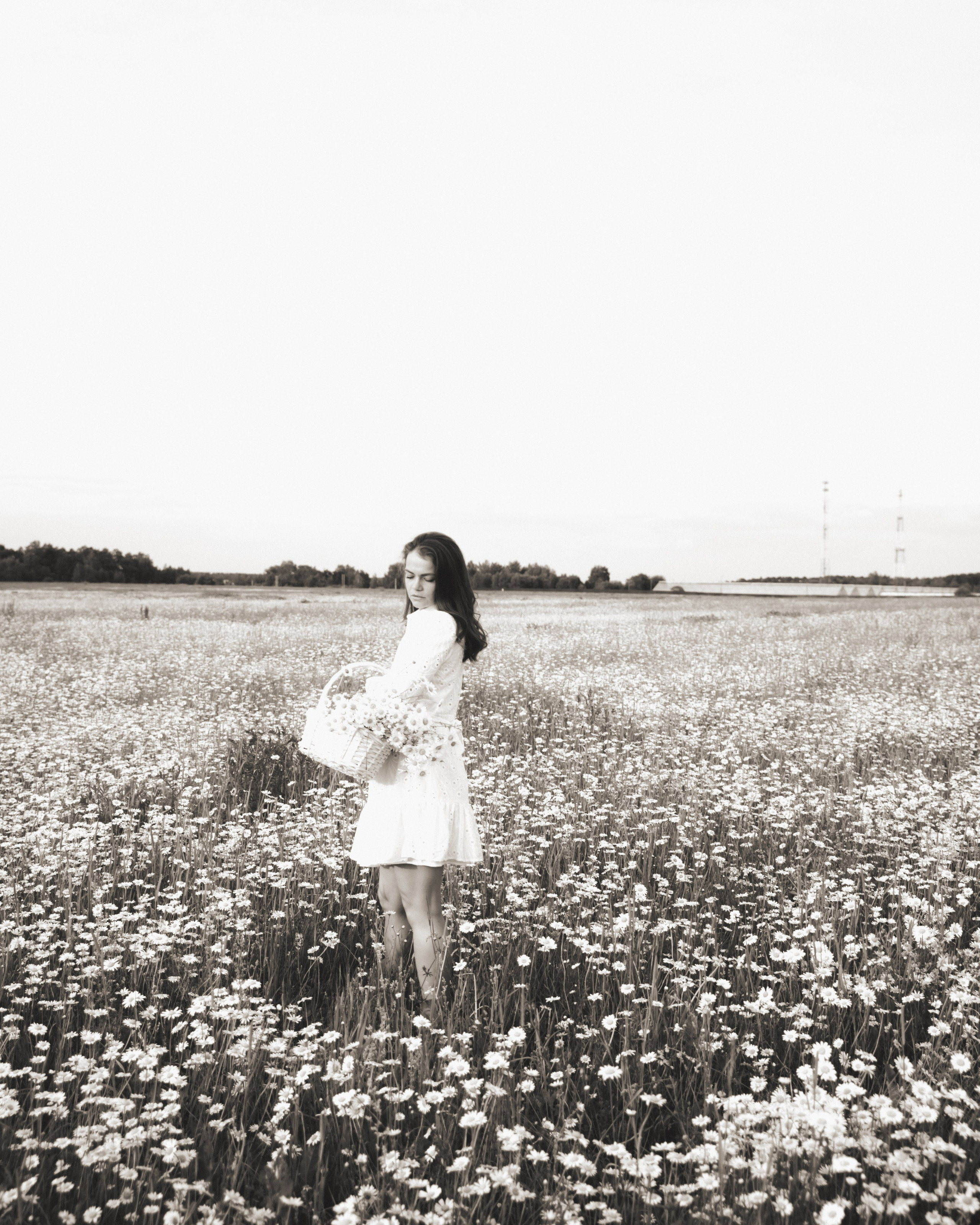 Фотосессия в поле с ромашками. Фотограф Игнатьева Любовь