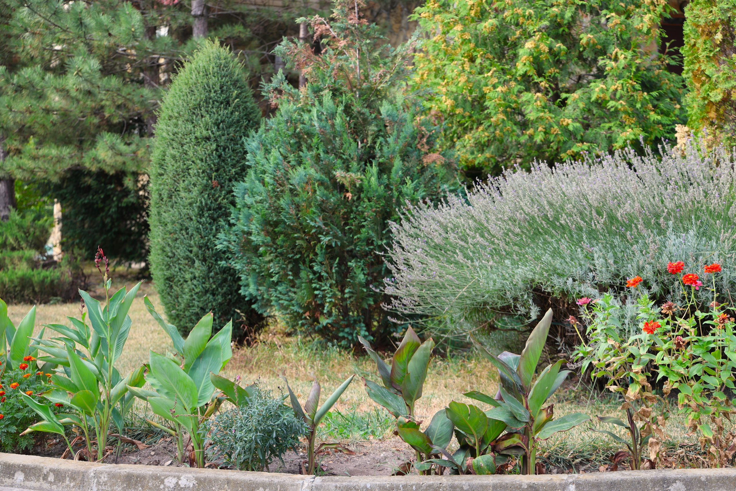 Ставрополец — Оздоровительный пансионат | с. Широкая Балка г. Новороссийск