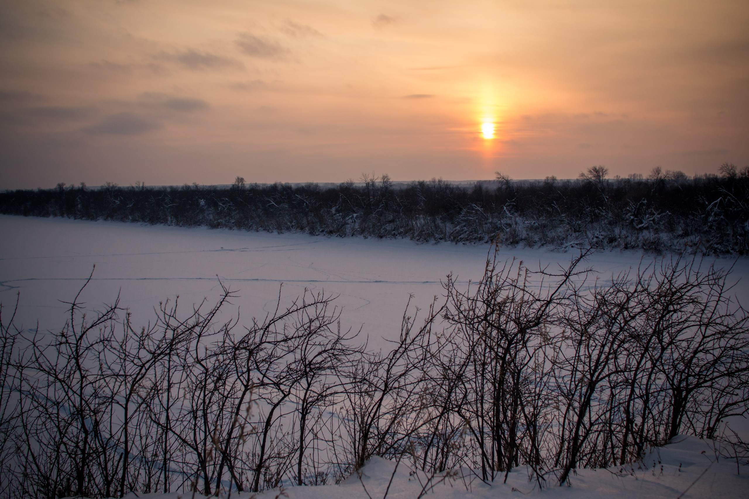 Дети — цветы жизни!. Ваш фотограф Северск | Томск