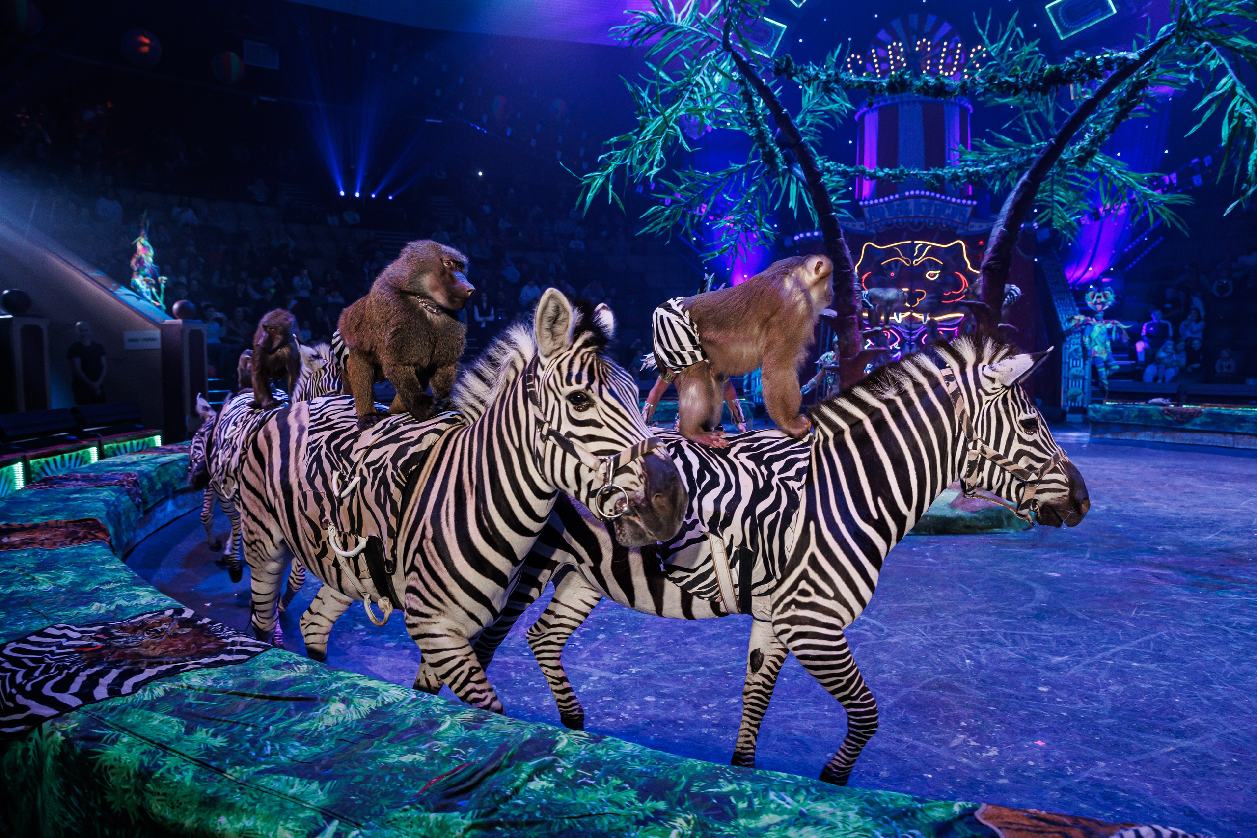 BURLESQUE. Андрей Черёмушкин | Репортажный Фотограф в Хабаровске