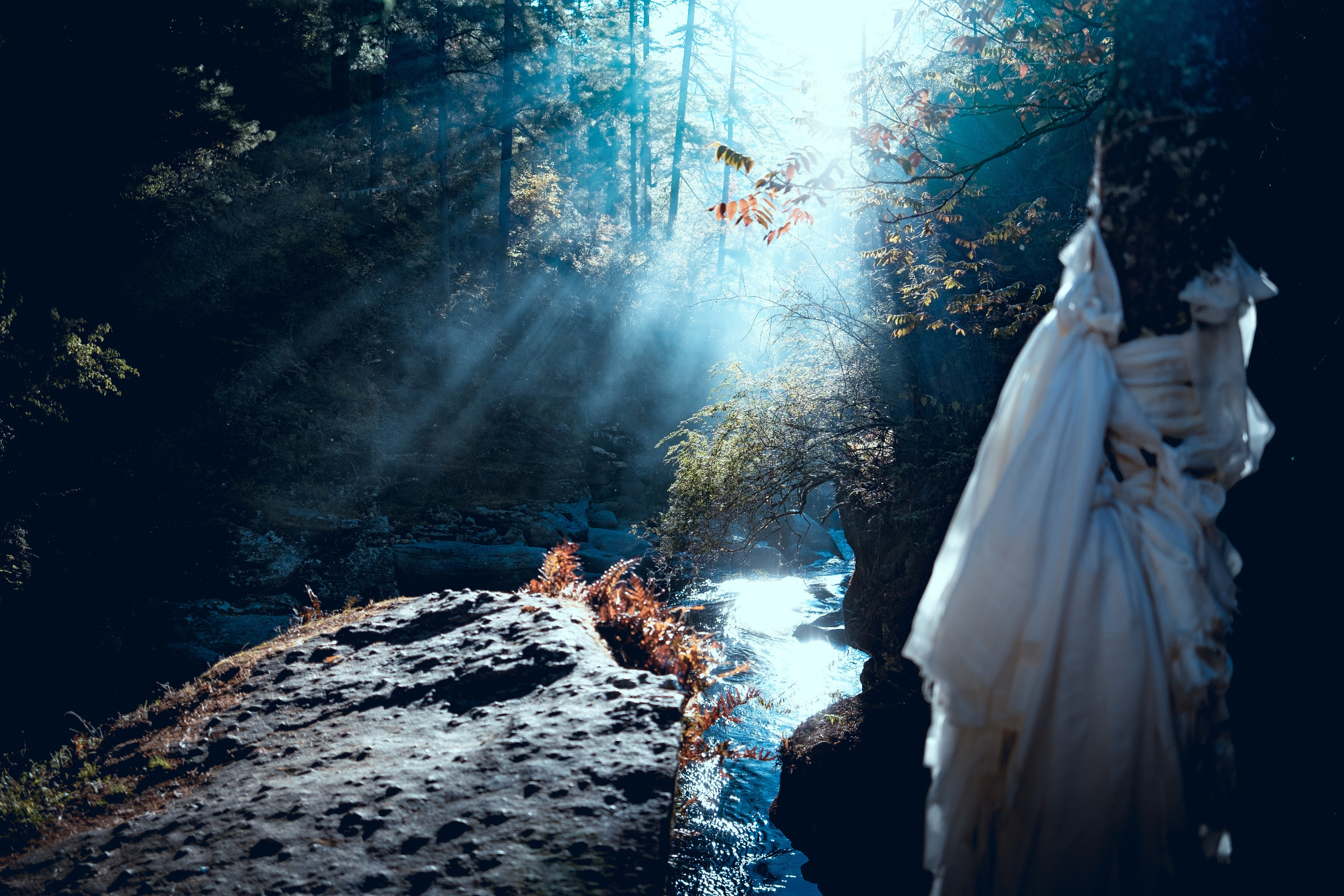 Bhutan. Dmitry Ippolitov