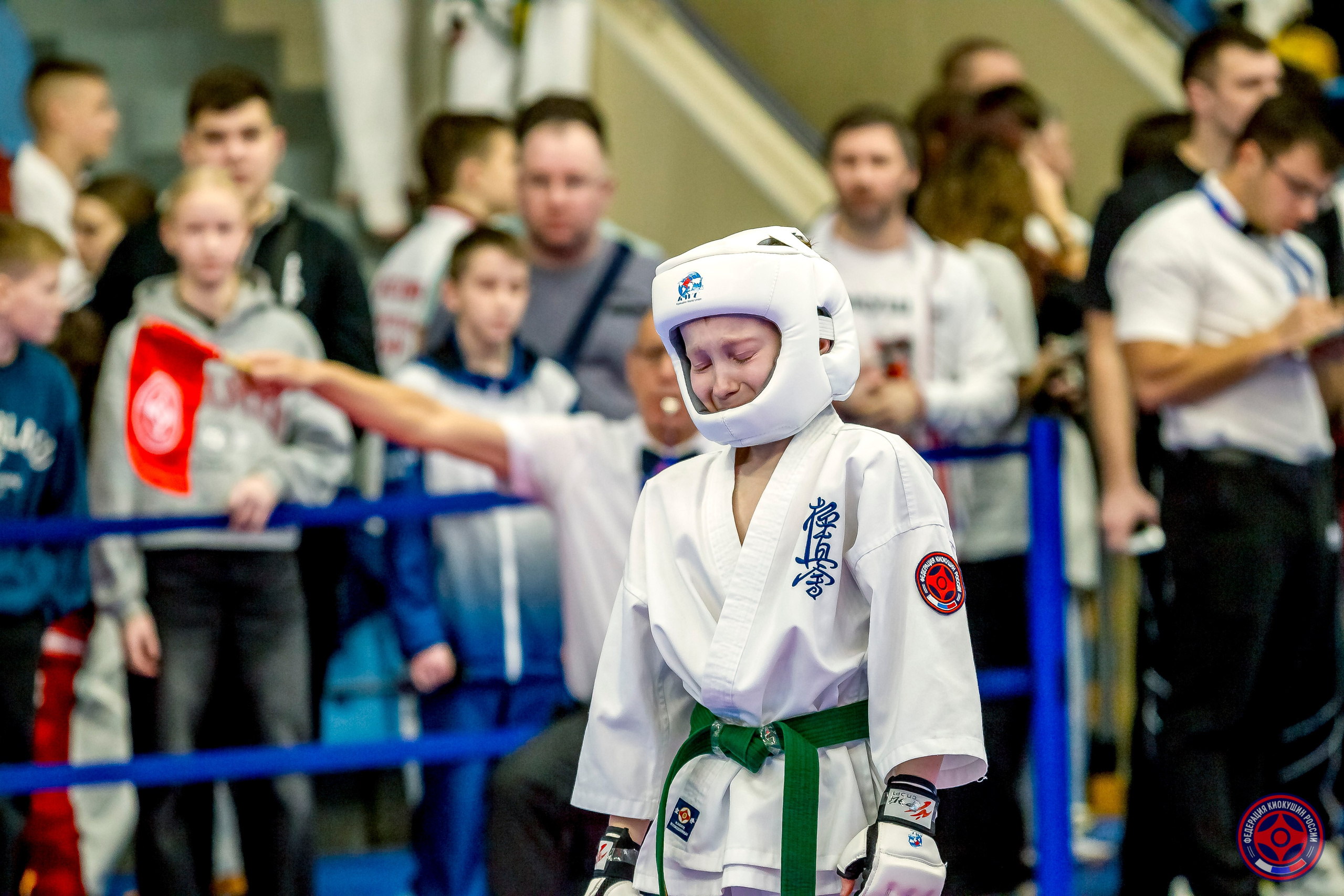 Международный турнир по киокушин «Открытый кубок Seiken». Репортажная съемка в Москве и области. Анималистика