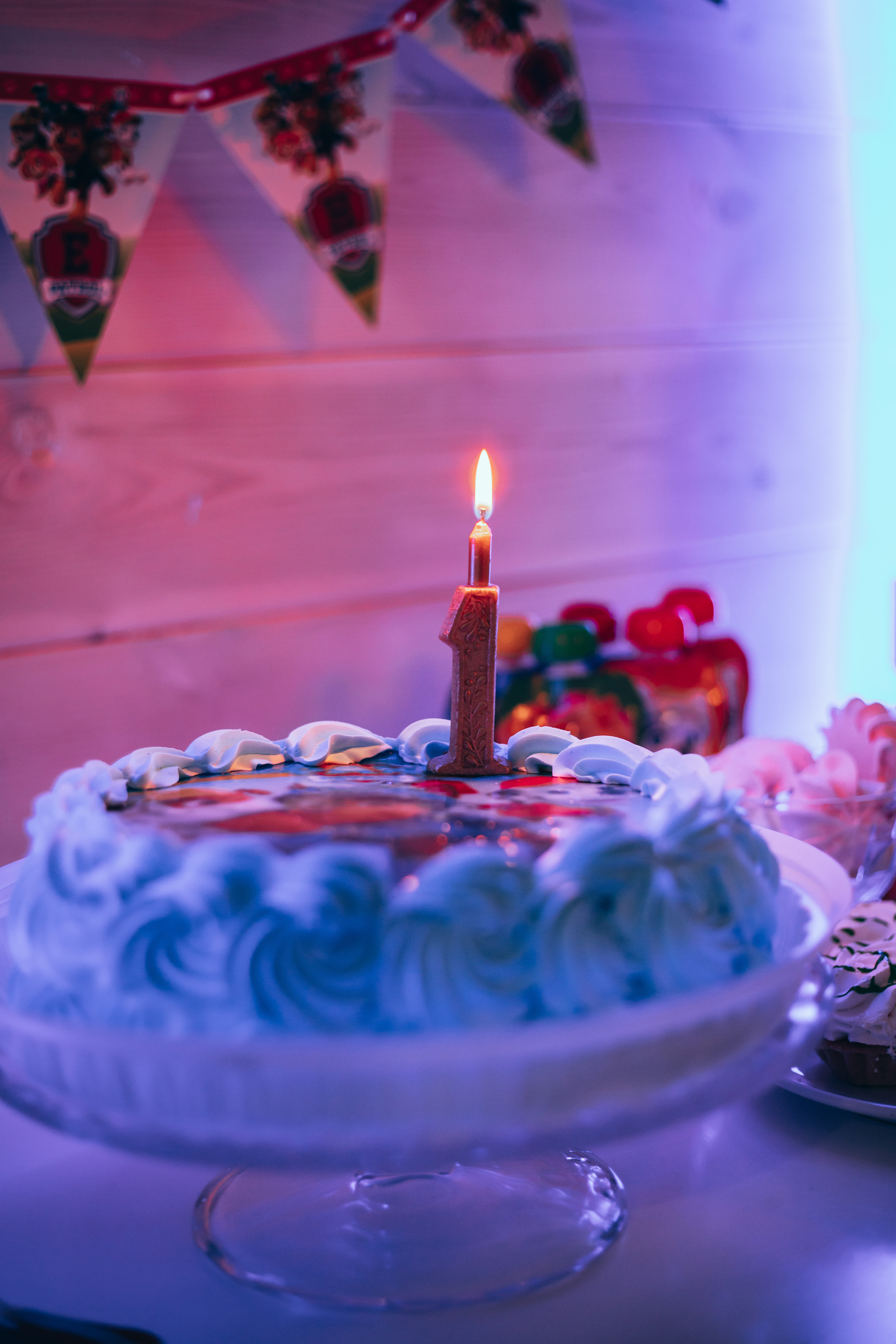 День Рожднения Димы 1 годик. Семейный и детский фотограф в г. Новосибирске Макеева Анастасия