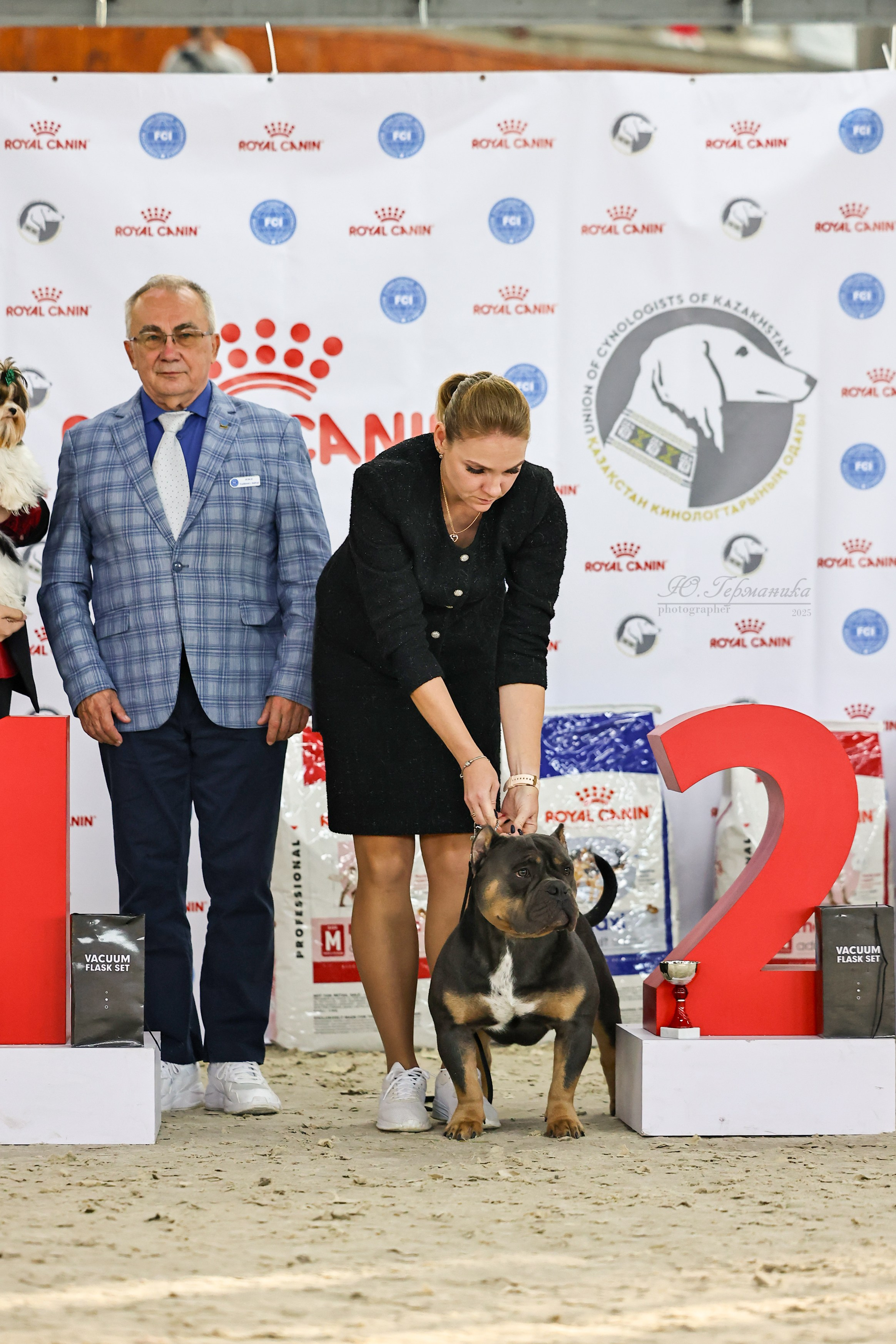 Астана 2хCACIB 26-28.09.2025. Фотограф-анималист Юлия Германика