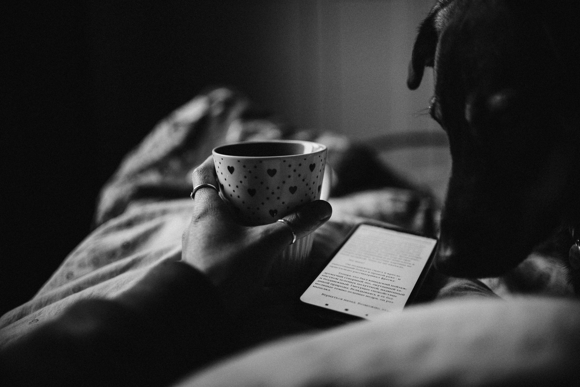 Real moments between people and their dogs