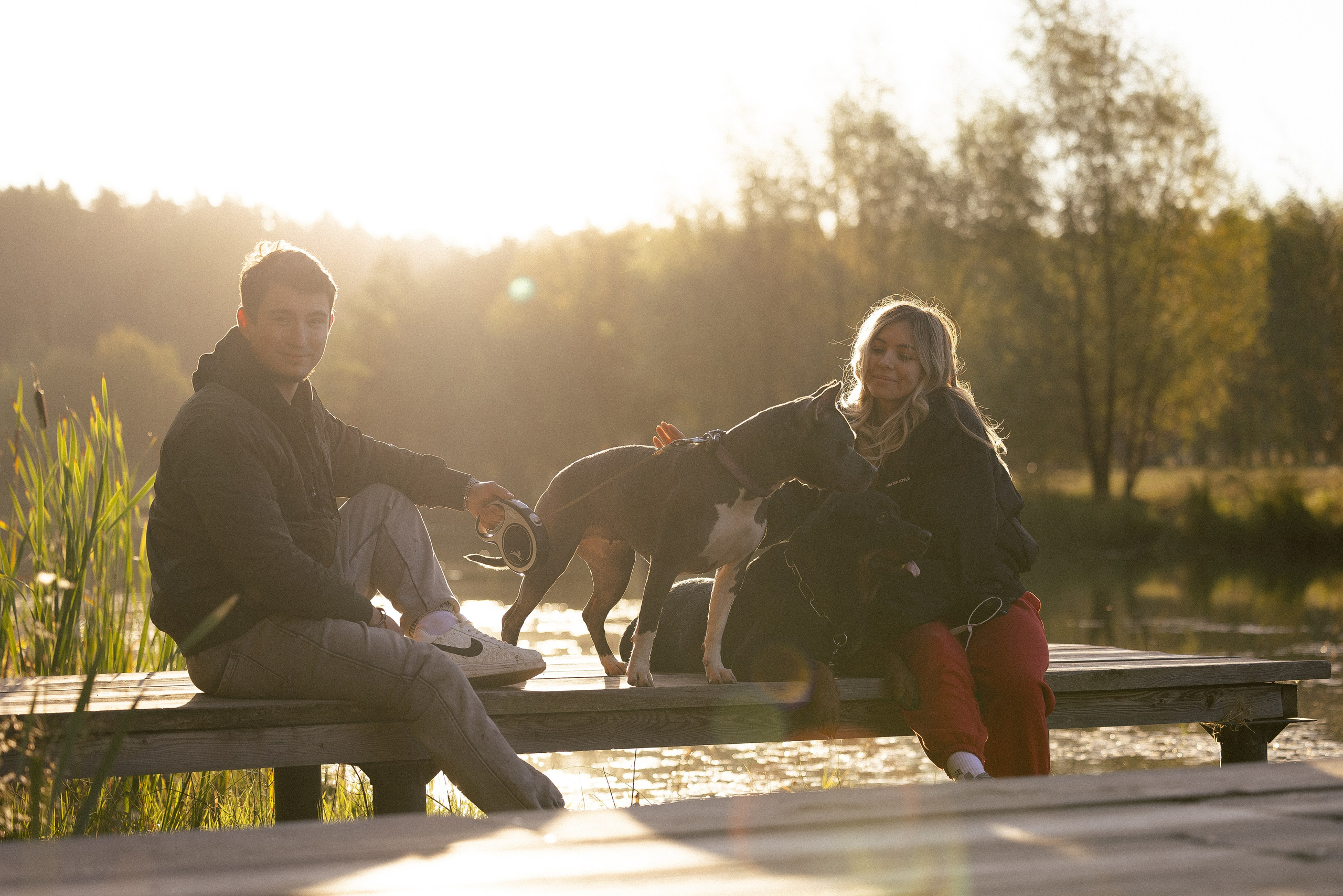 Катя, Леша, Лея и Трой. Фотограф и видеограф анималист Аганина Дарья