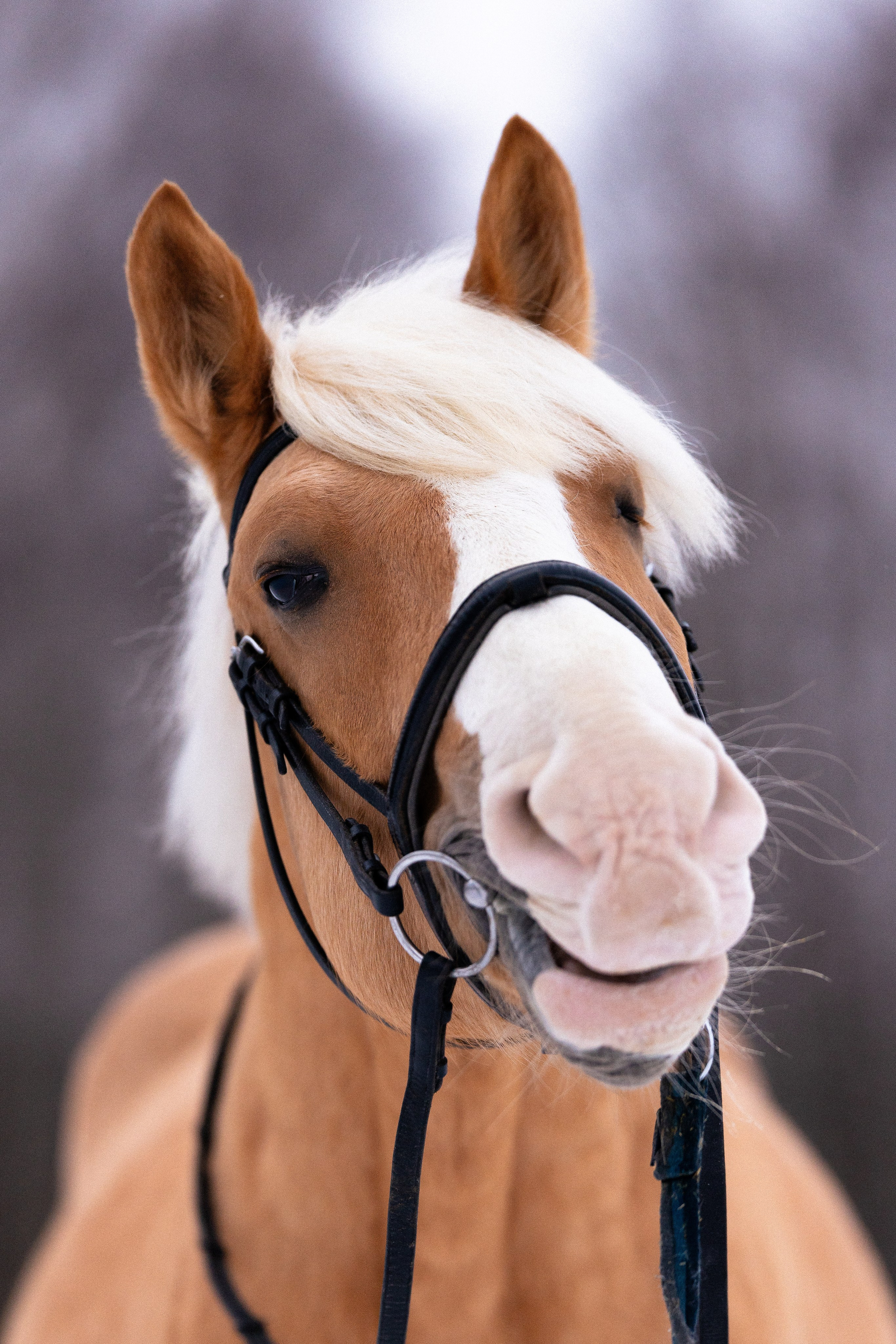 Бейкер. Фотограф и видеограф анималист Аганина Дарья