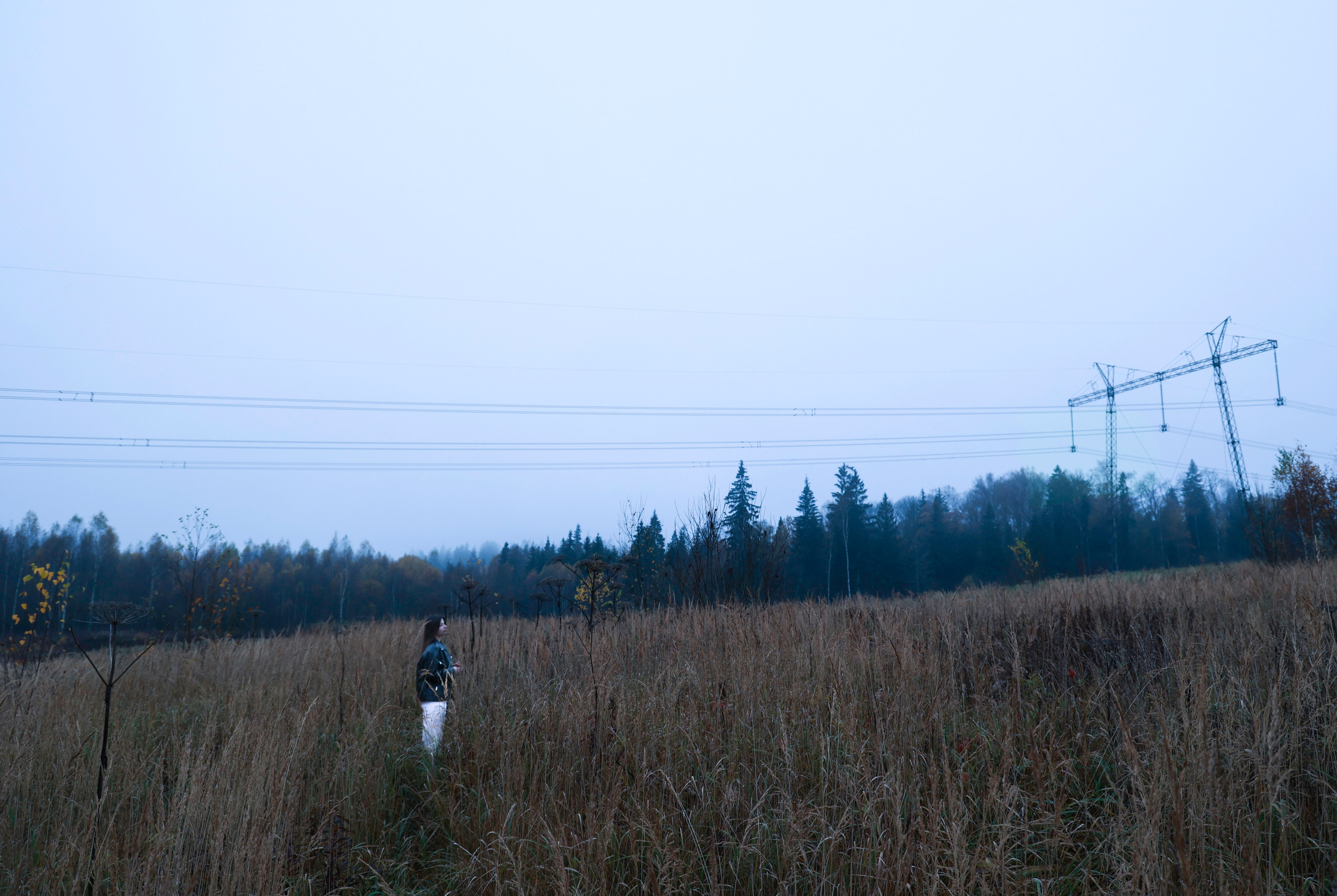 Сумерки. Елизавета Ковалевская — ваш профессиональный фотограф