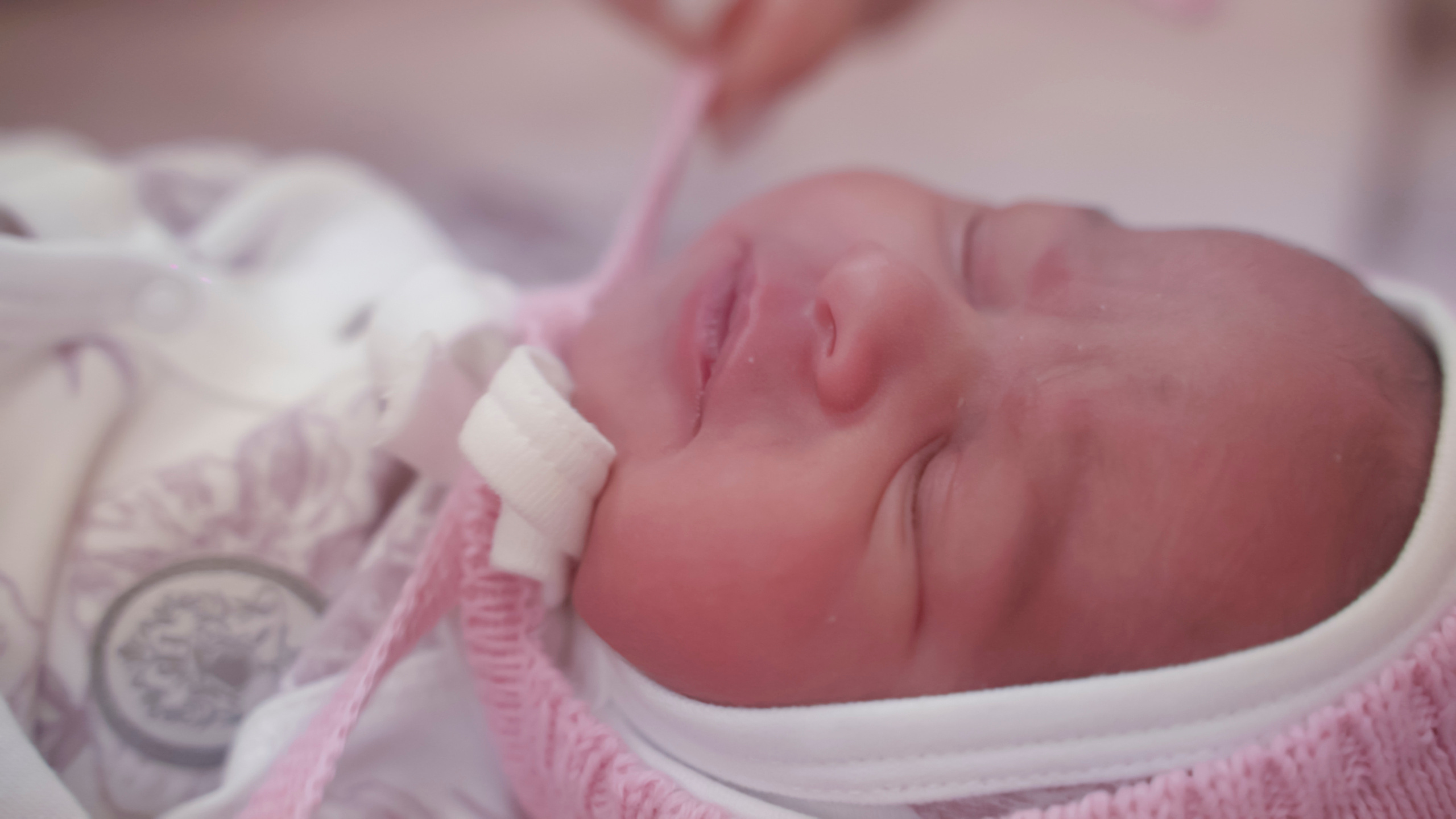 Выписка Мишель. Видеограф Осинина Татьяна — видеосъемка в Москве