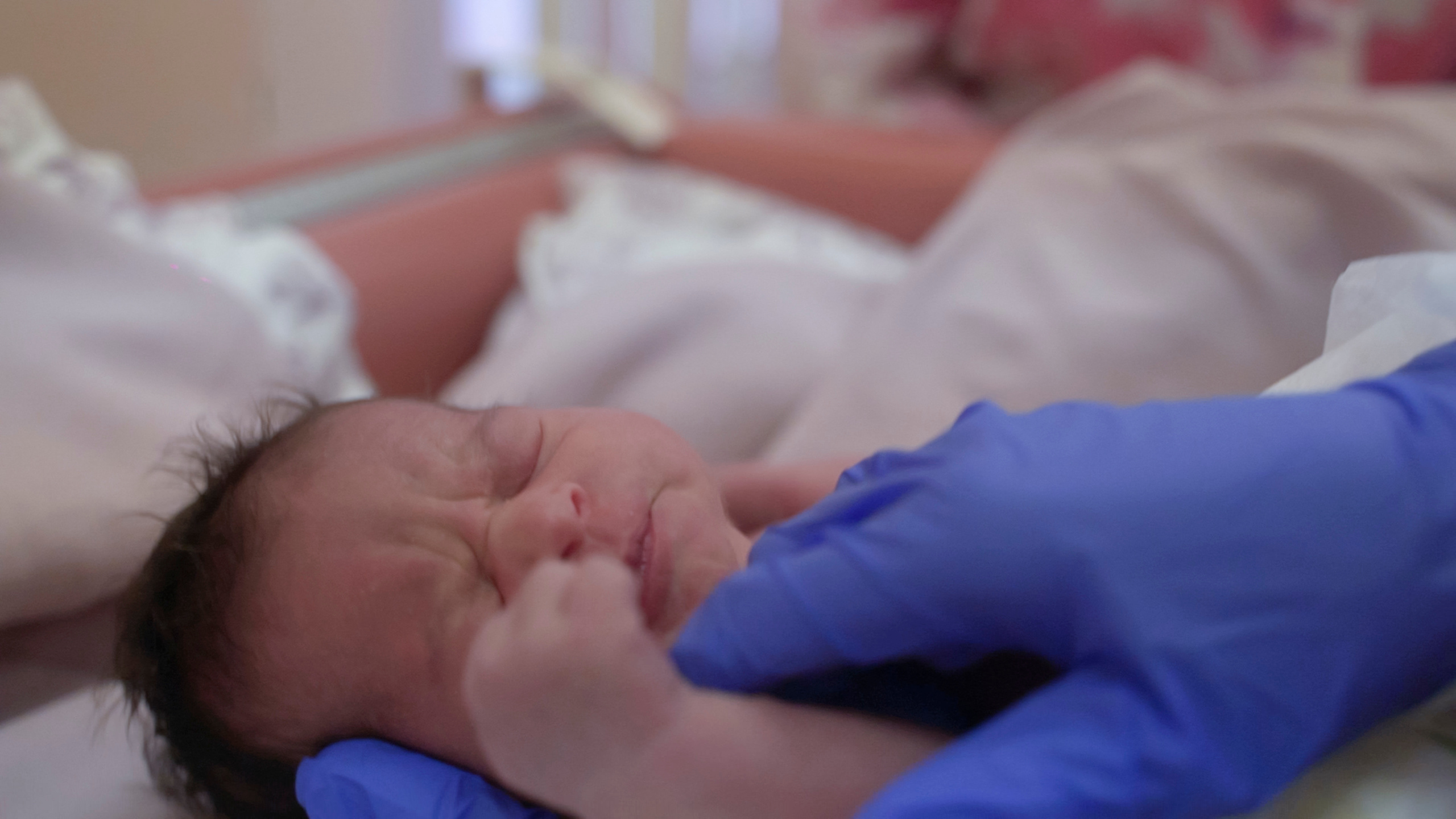 Выписка Мишель. Видеограф Осинина Татьяна — видеосъемка в Москве