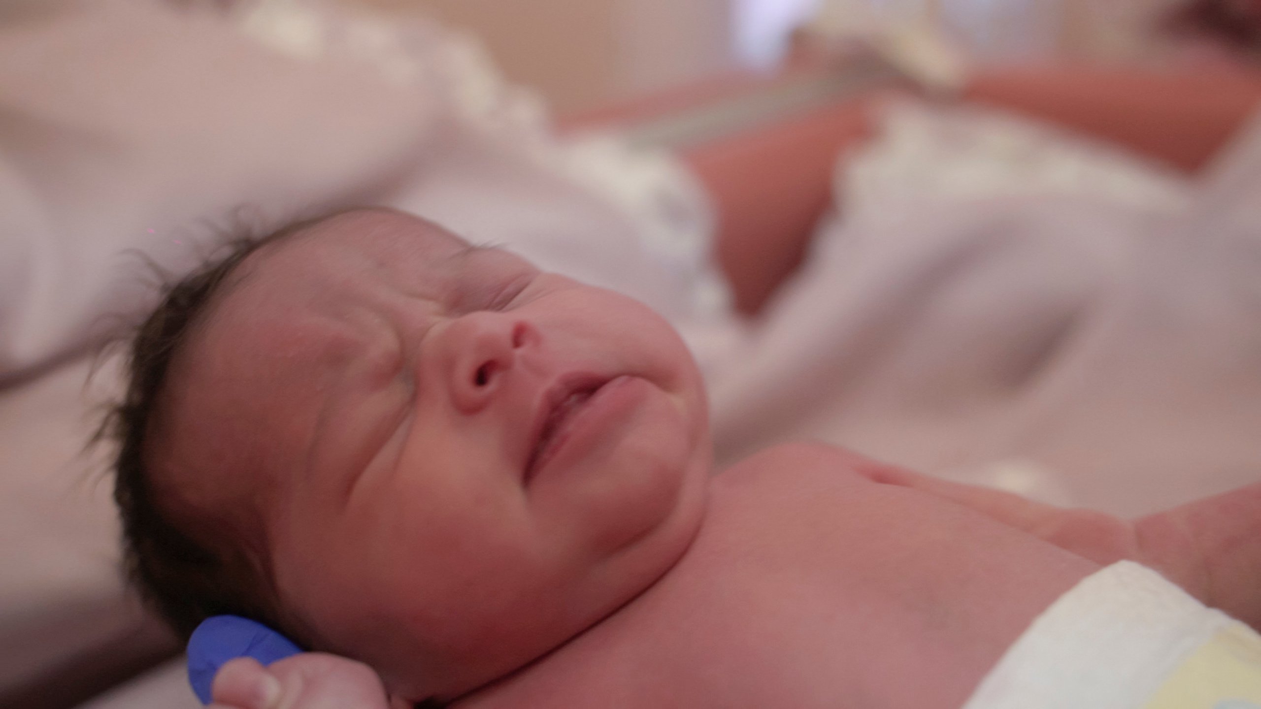 Выписка Мишель. Видеограф Осинина Татьяна — видеосъемка в Москве