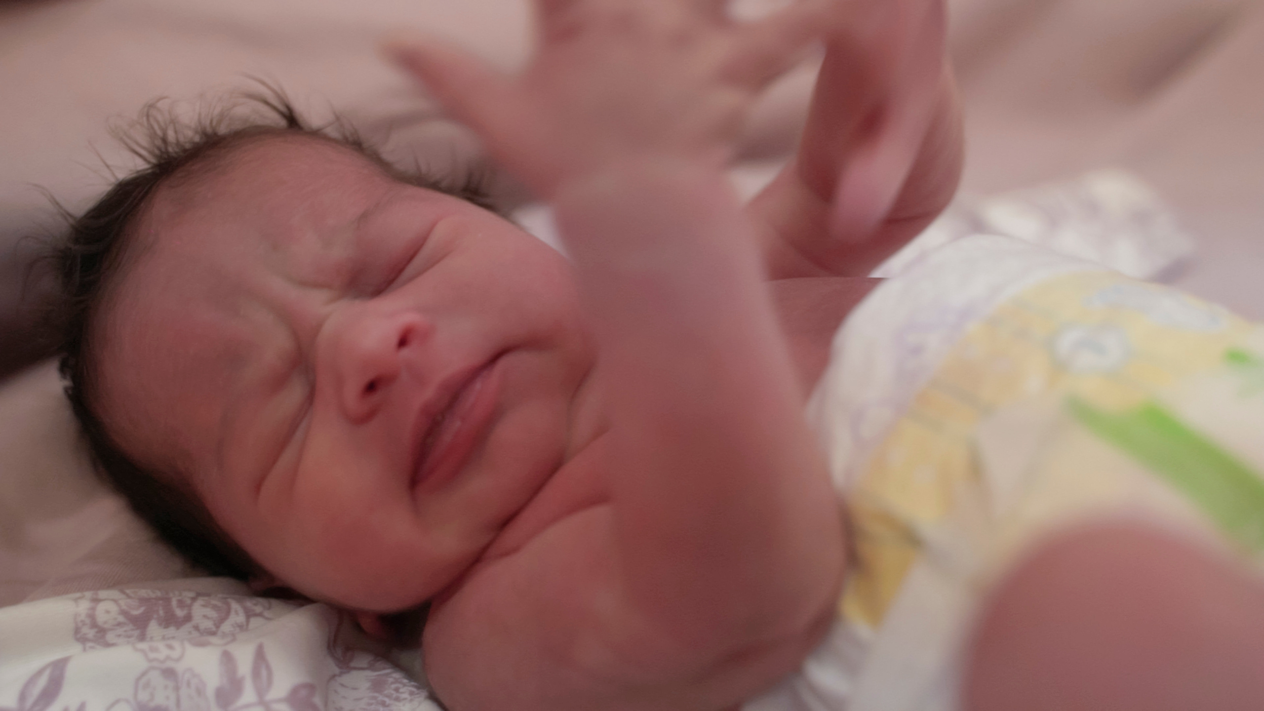 Выписка Мишель. Видеограф Осинина Татьяна — видеосъемка в Москве