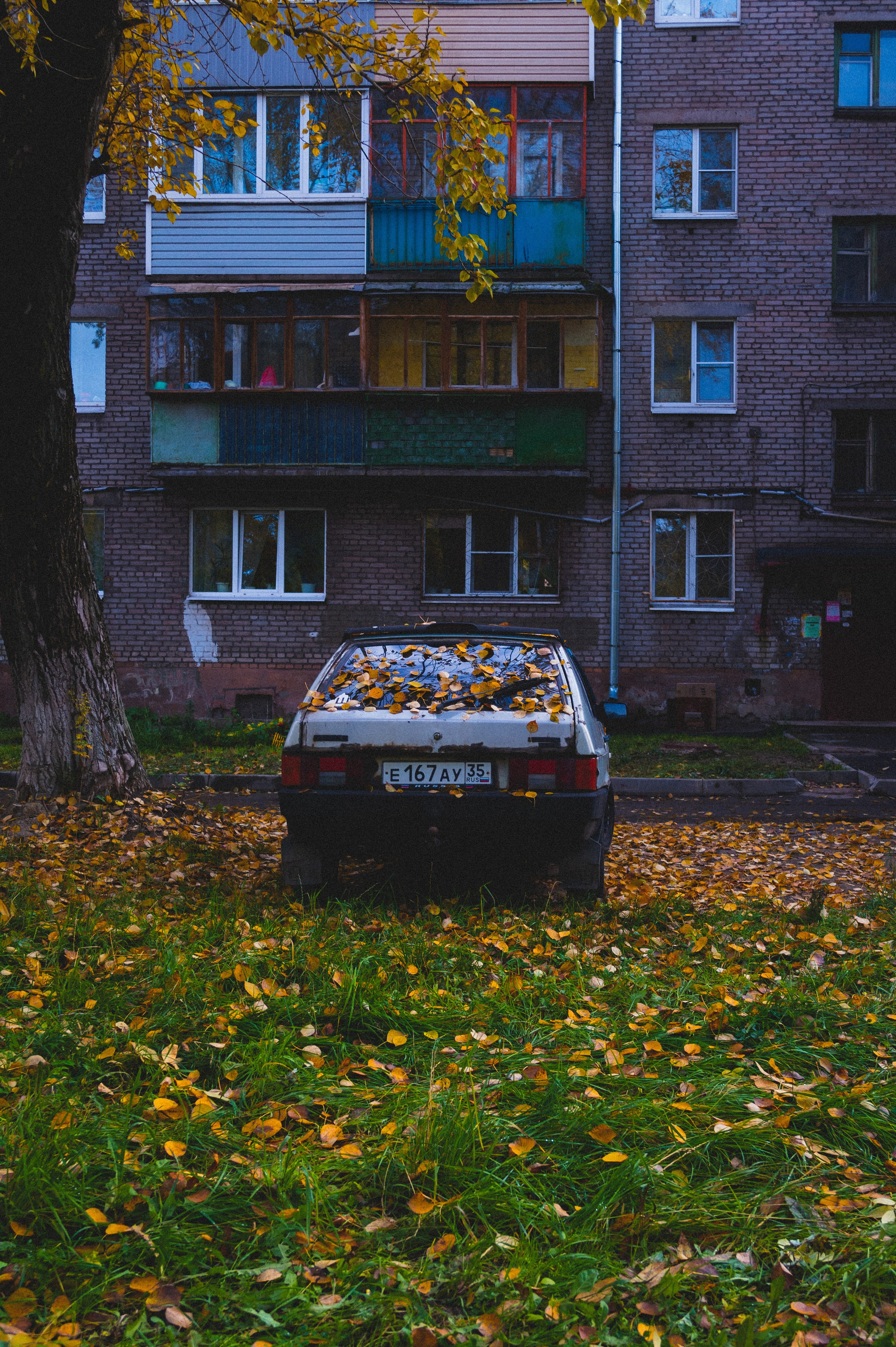 Октябрь 2025. Den Mirov — Фотограф, Музыкант