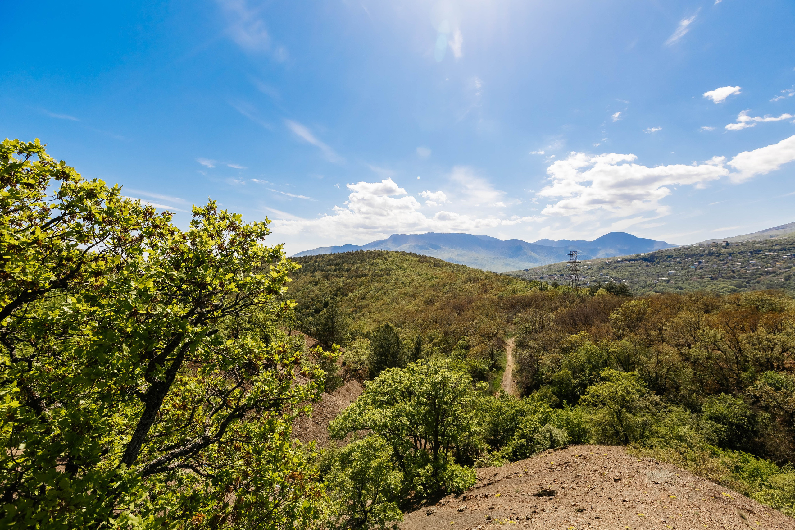 РЭС 2025 Крым. Фотограф Краснодар Марго Хелбен