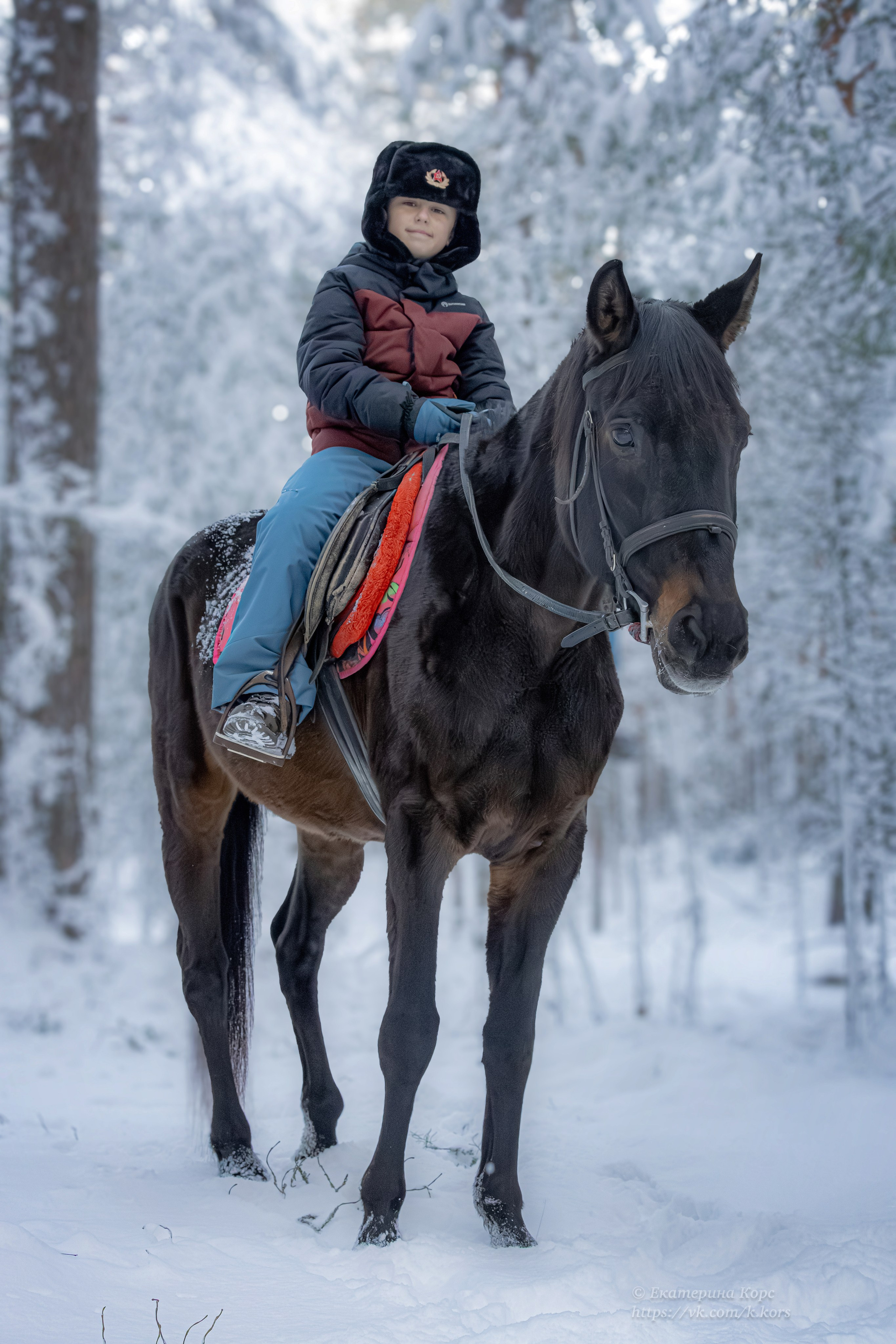 Лошади и люди. Главная