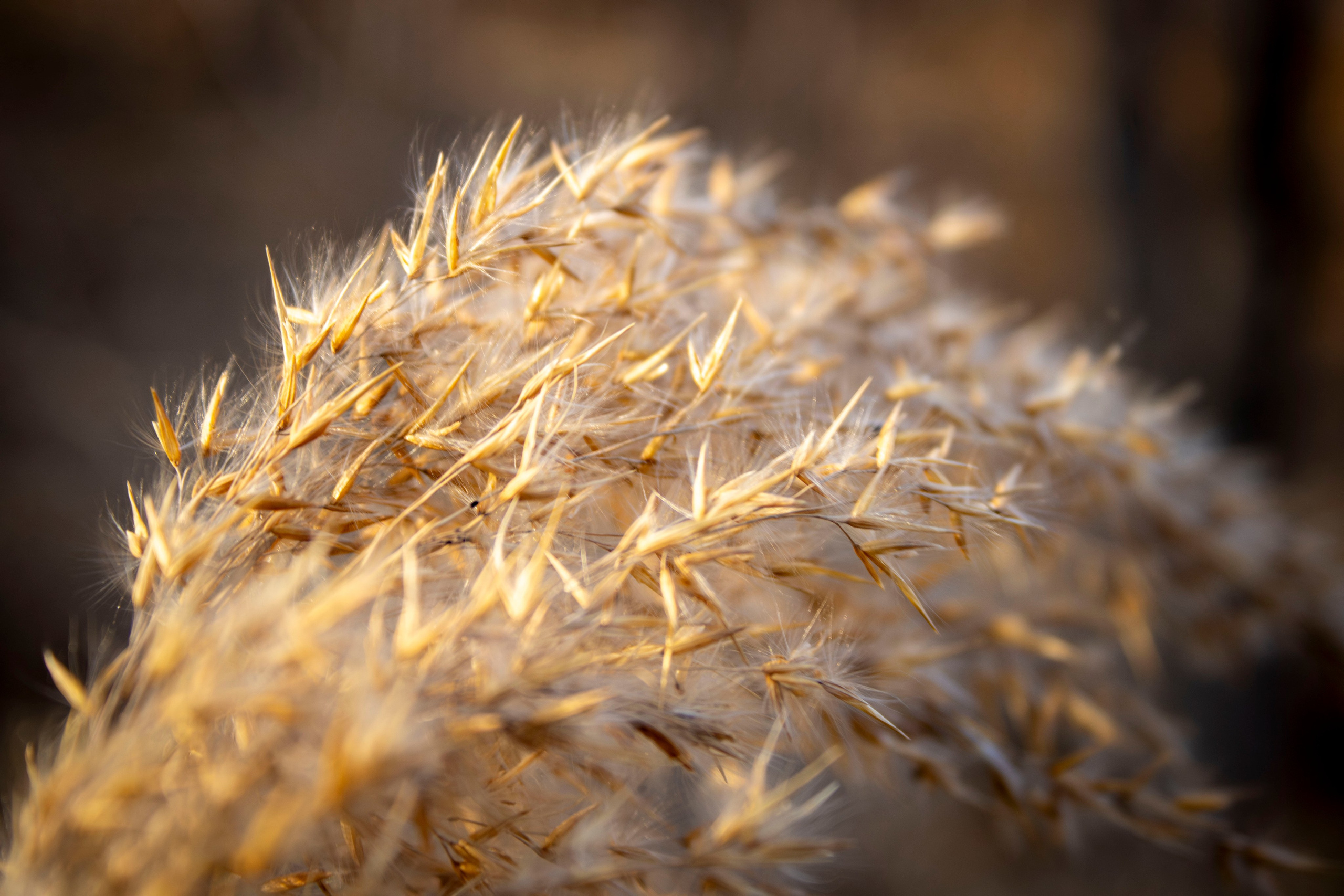 Творческий подход. Фотограф г. Владивосток