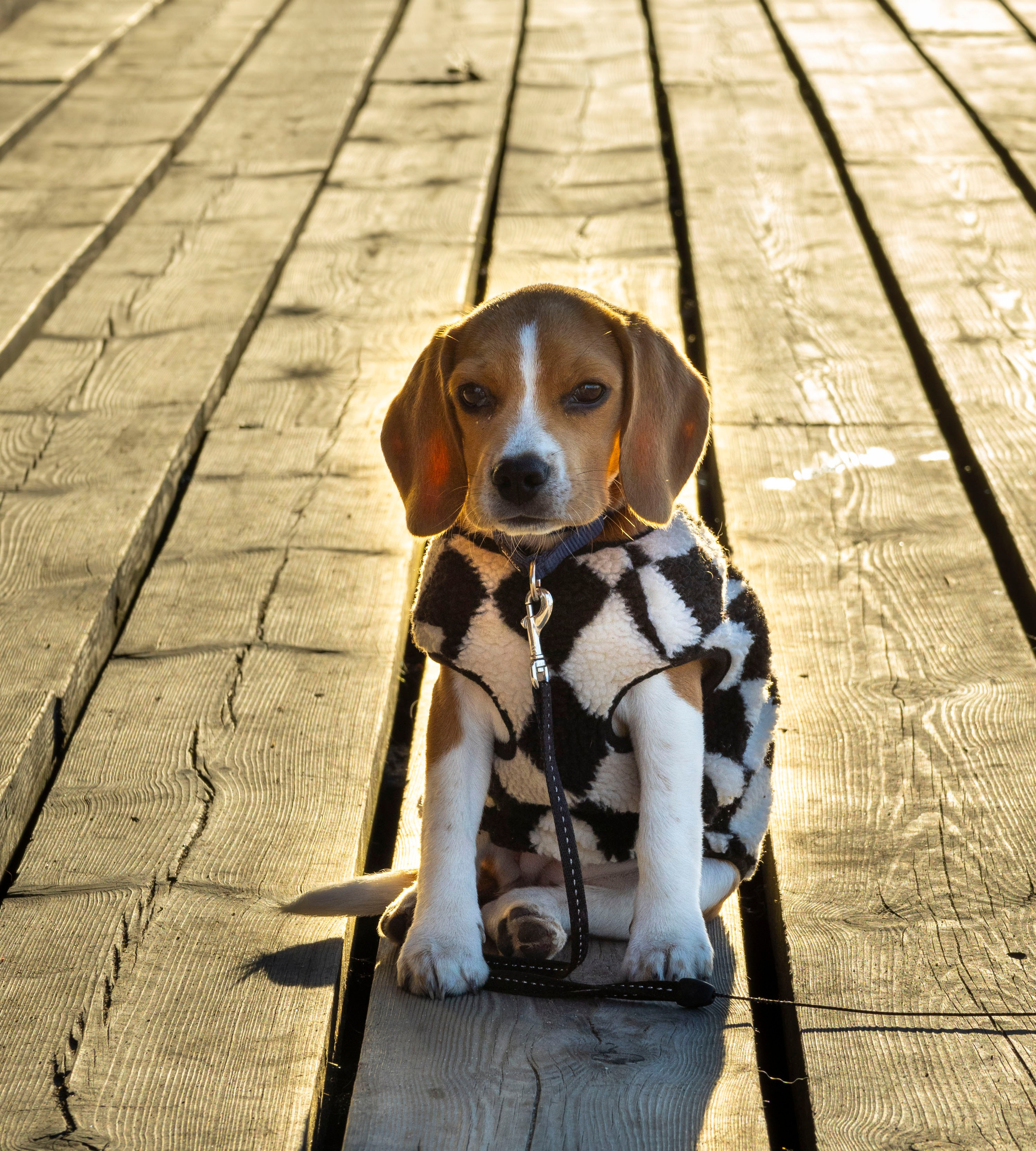 Фотосессии. Фотограф г. Владивосток