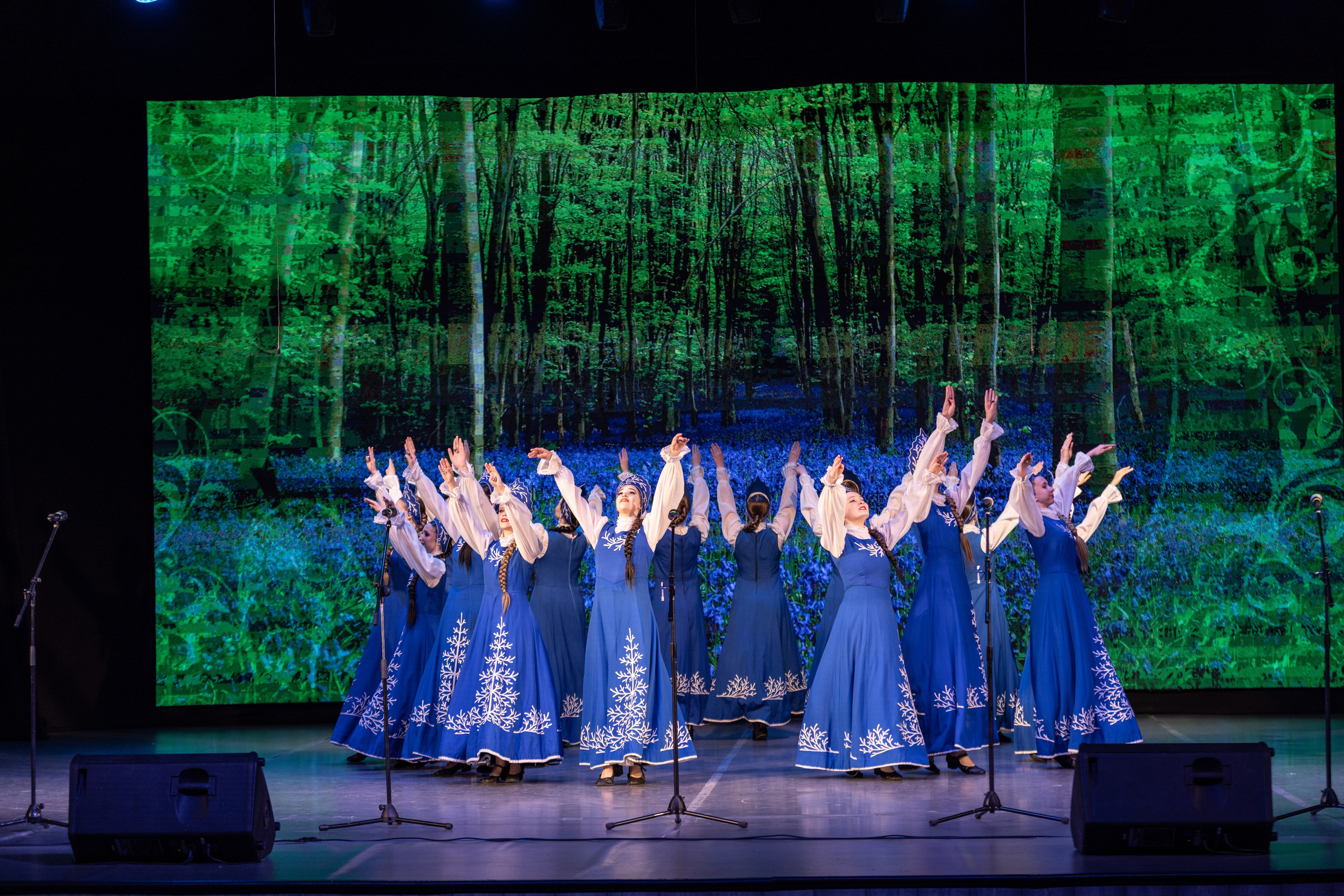 Концерт. Фотограф в Барнауле Ирина Чикалова