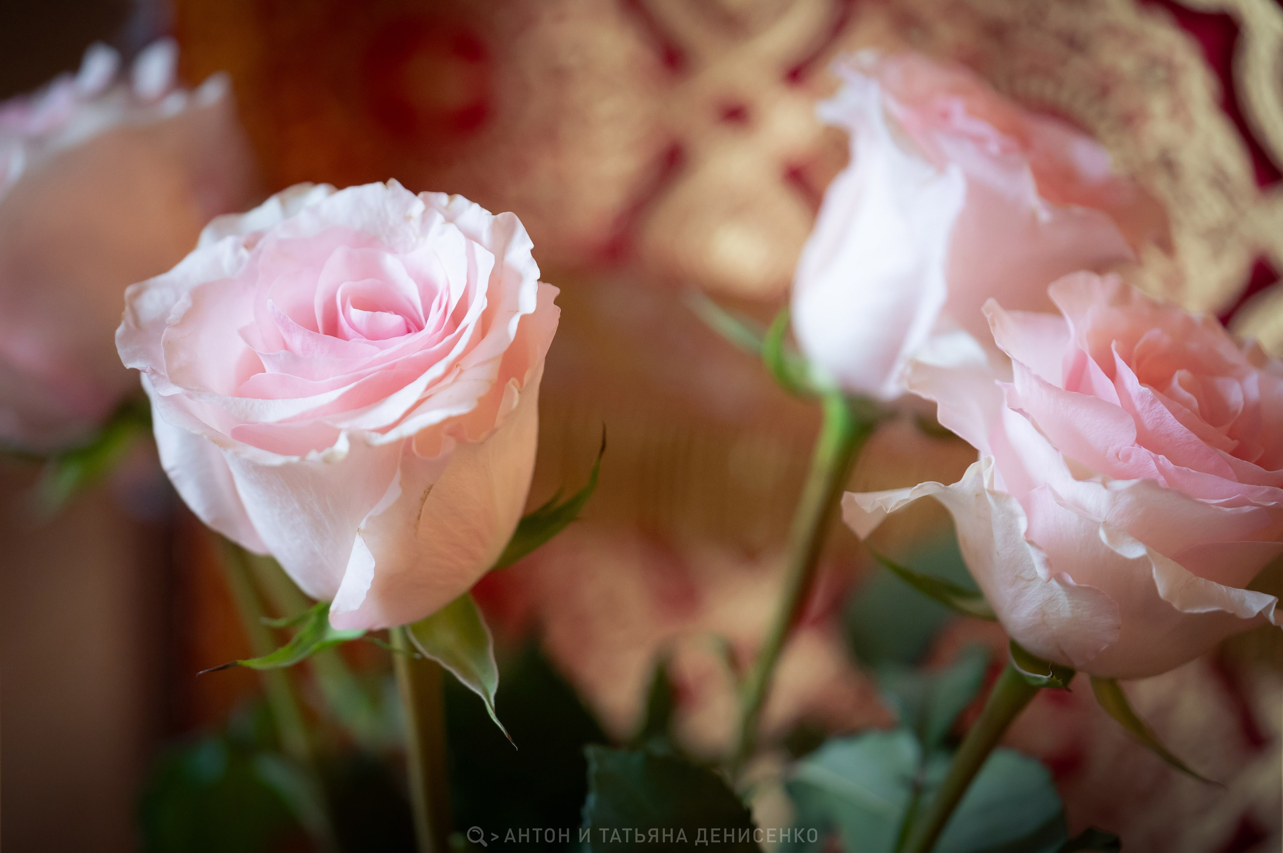 Храм Преображения Господня в Богородском. Антипасха. Антон и Татьяна Денисенко — В храме