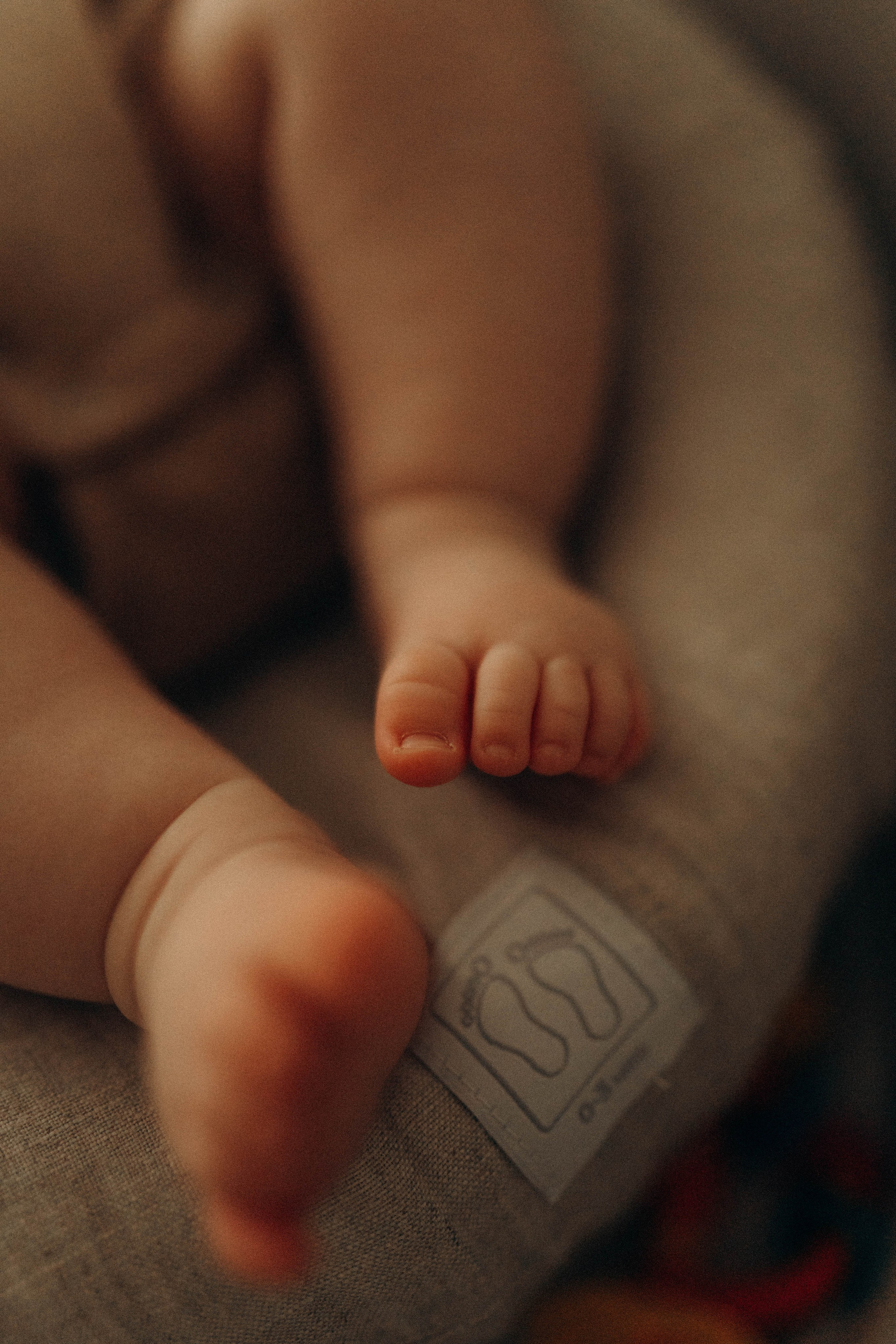 Вика, Дима, Адель, Анисия. Семейный фотограф Юлия Котова