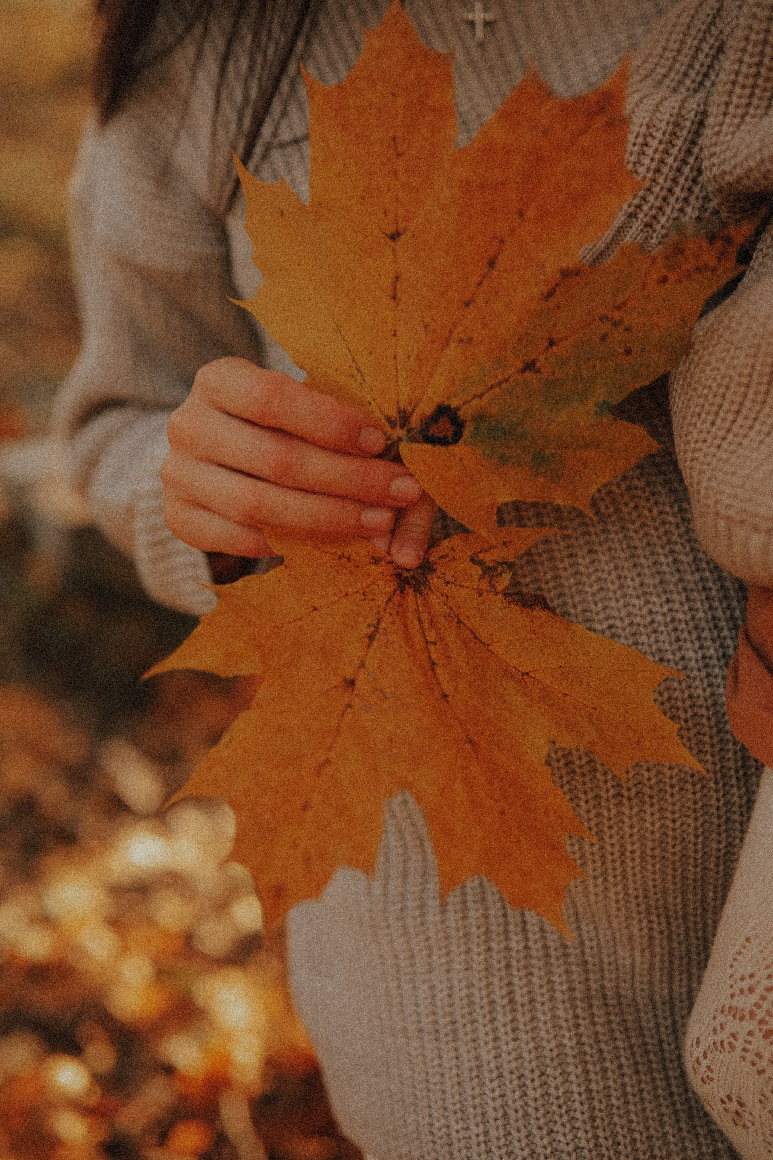 Прогулка Алёны, Димы и крошки Мелании. Семейный фотограф в Москве и Люберцах Юлия Гуськова
