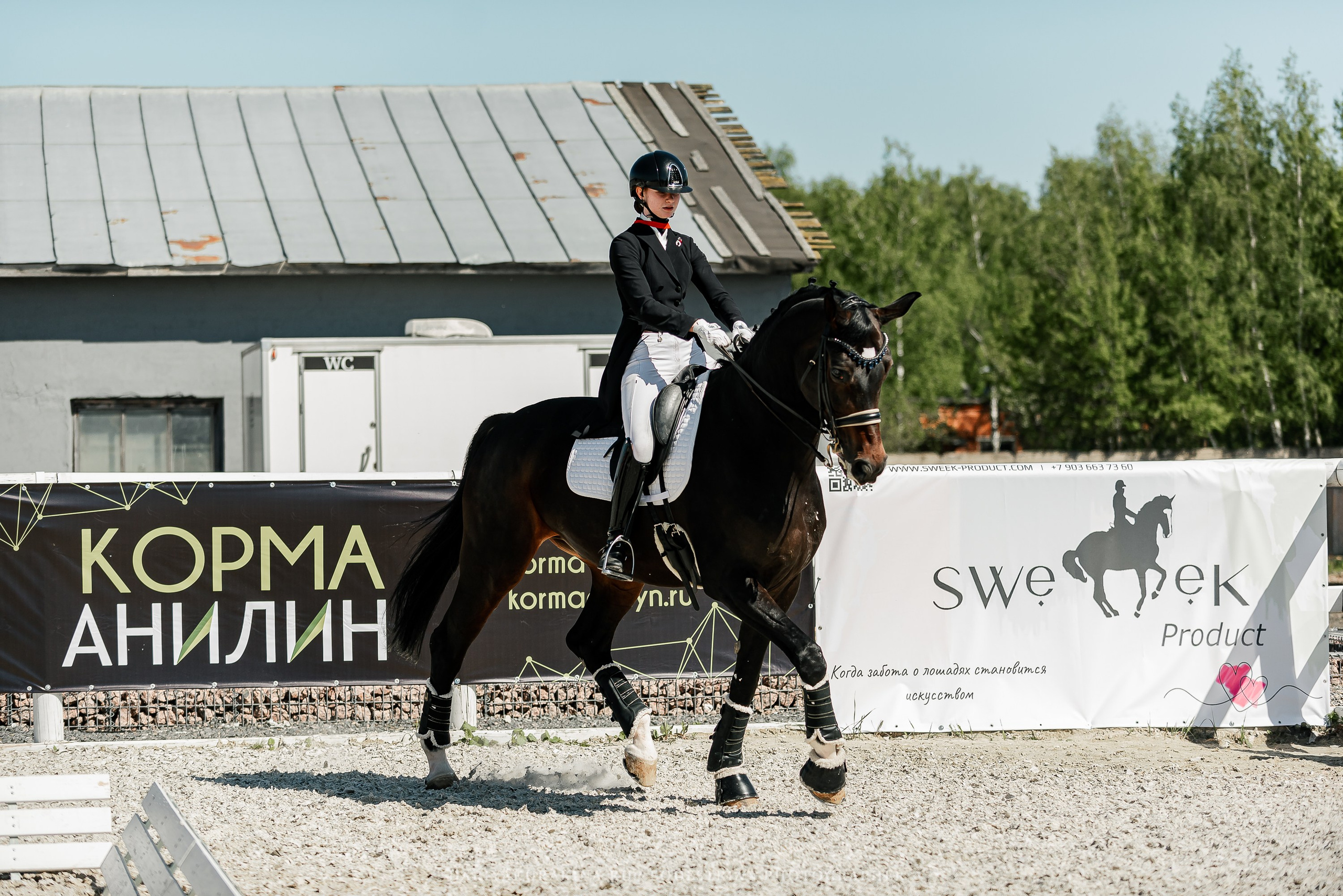 РЕПОРТАЖ МКК ВОЛЬТ «LA TULIPS». Конный фотограф Куракина Дарья • Фотосессии с лошадьми