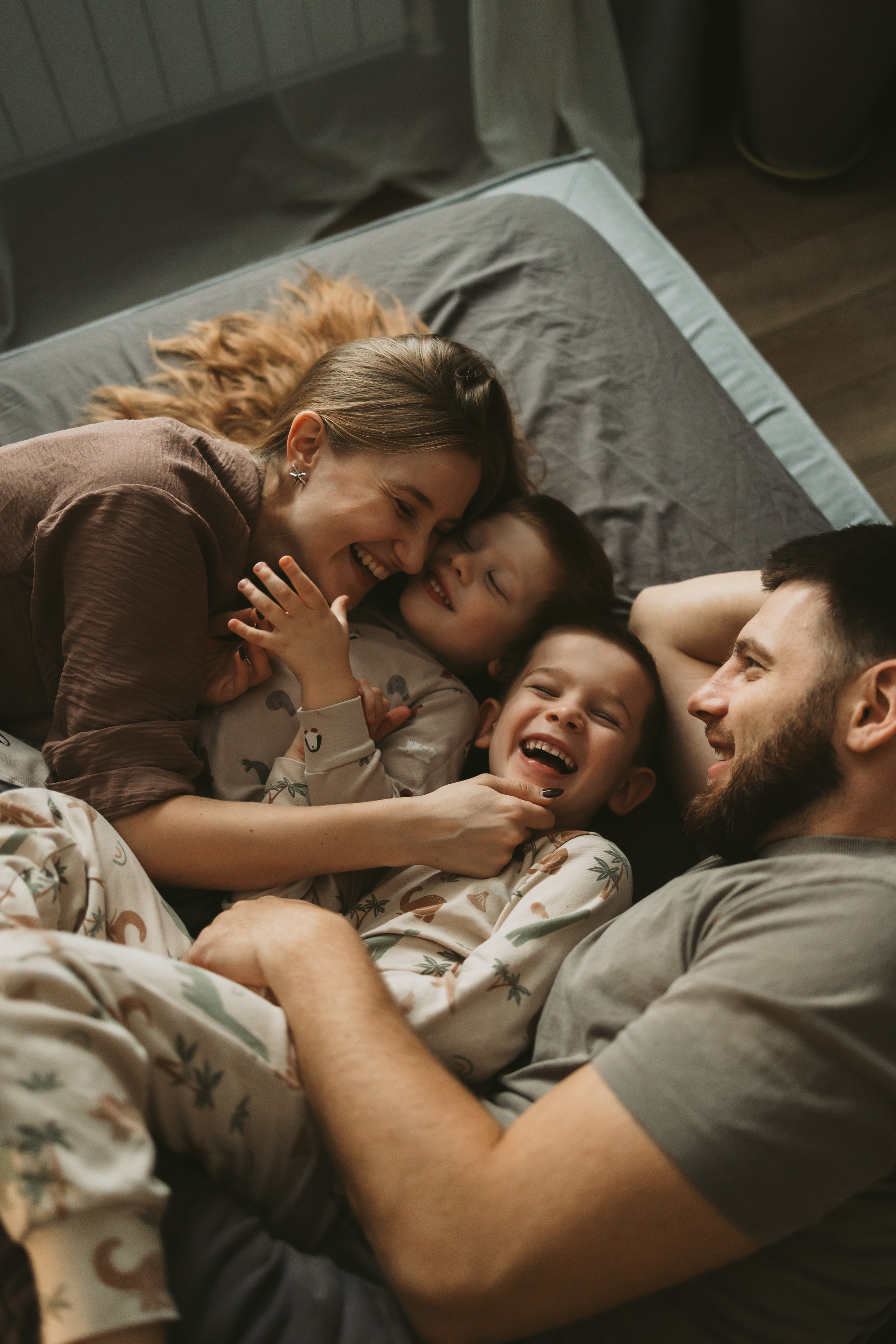 Домашняя история