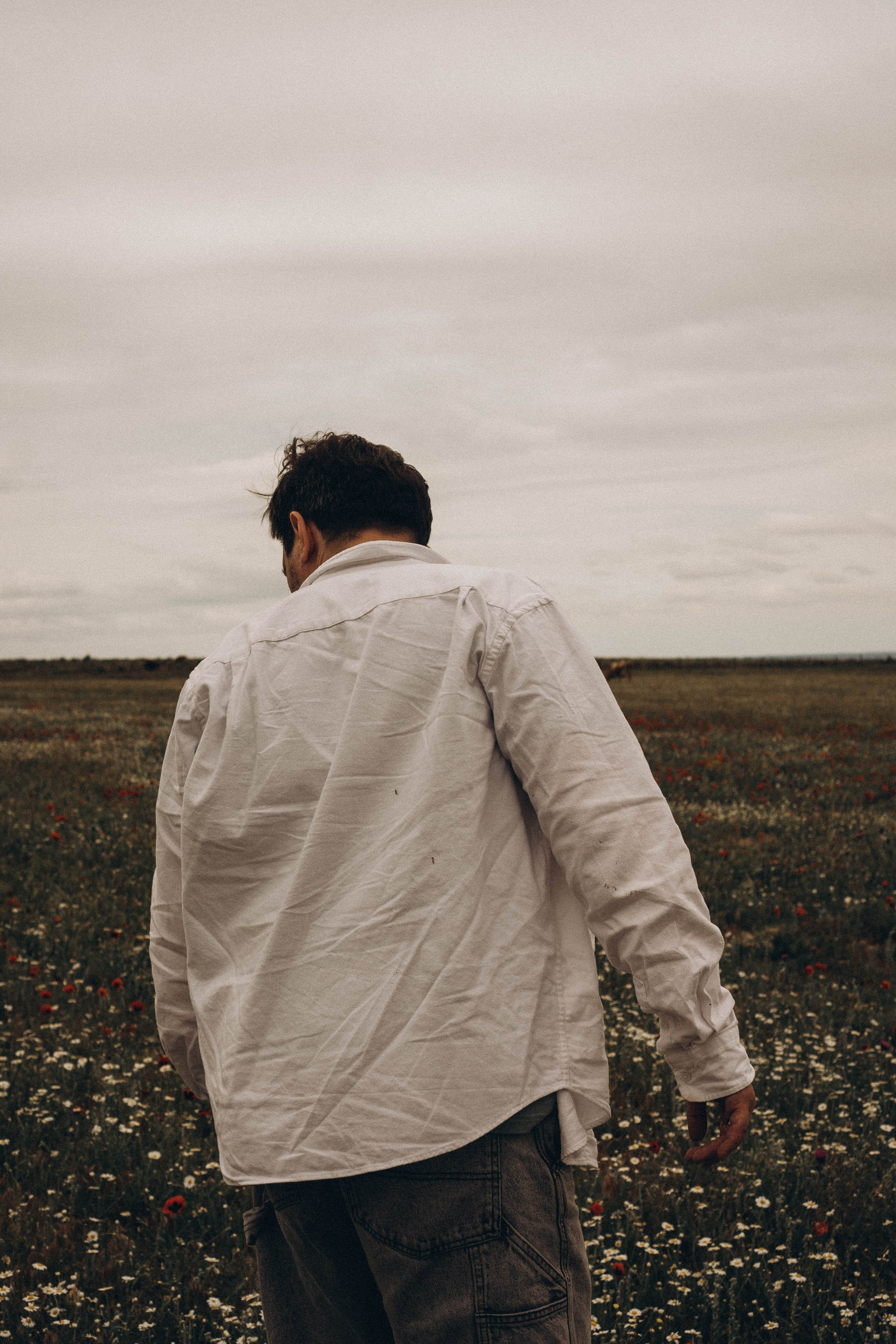 Маки. Профессиональный фотограф, Санкт-Петербург — Виктория Богомолова